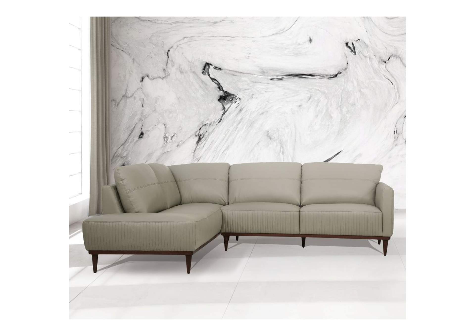 Tampa Sectional Sofa image 1