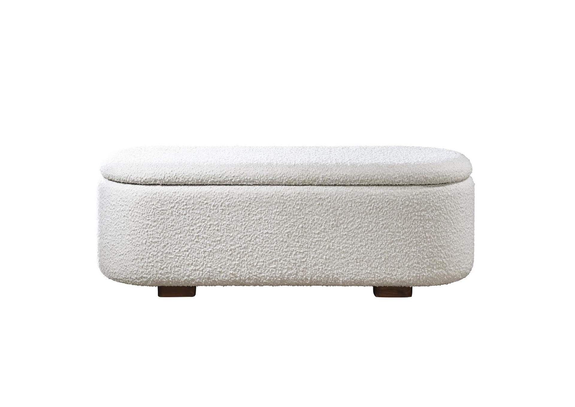 Sandro Bench with Storage image 4