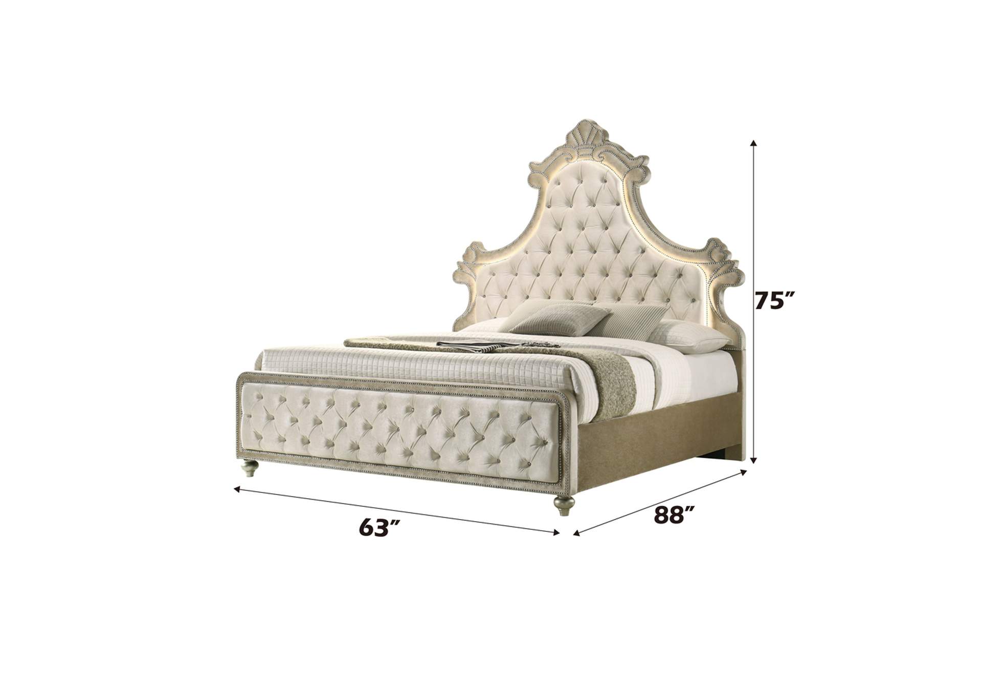 Lucienne Queen Bed with Led