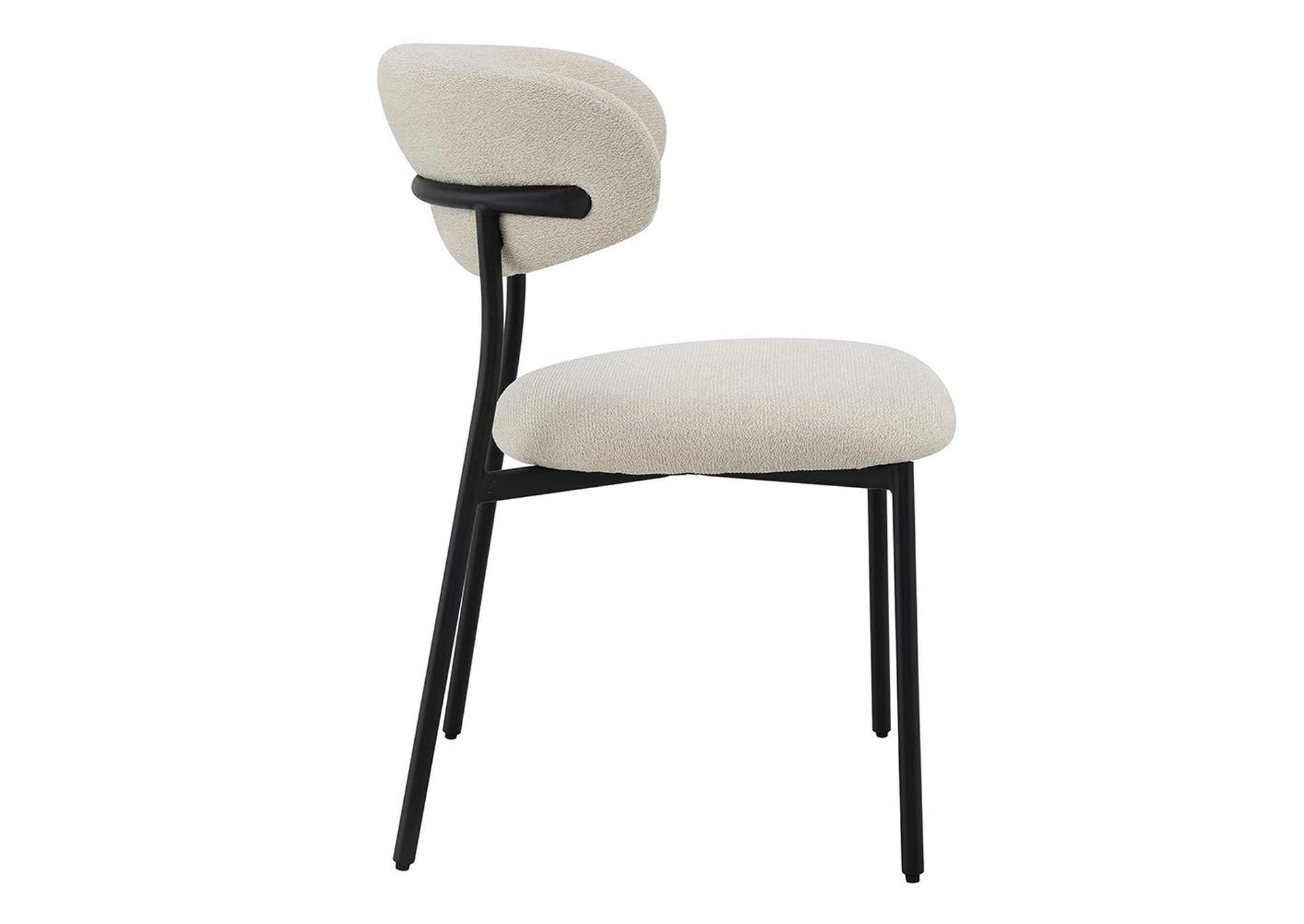 Jirina Side Chair - Set of 2 image 5