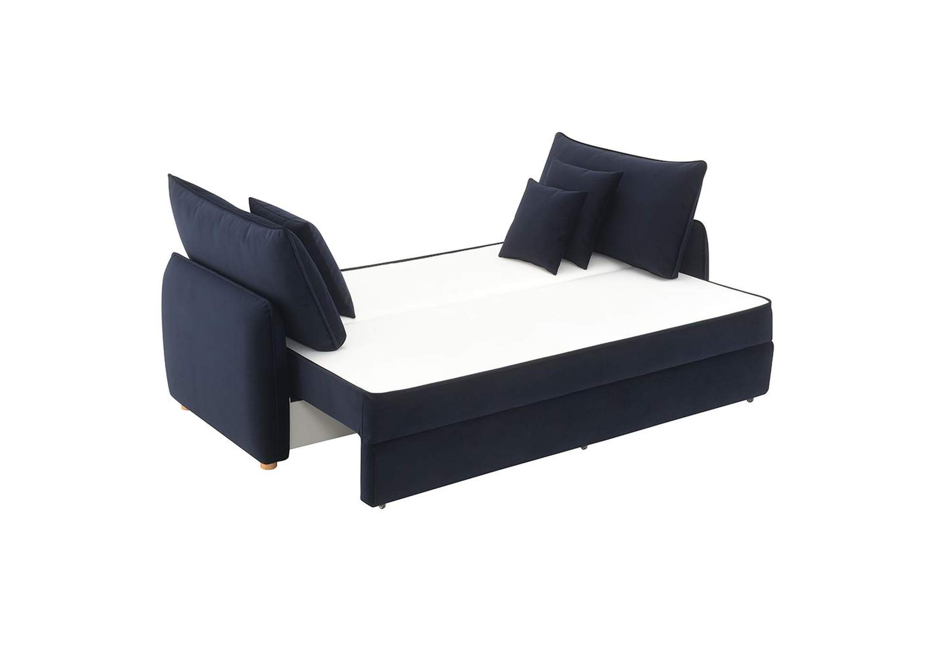 Irina Sofa with Sleeper image 3