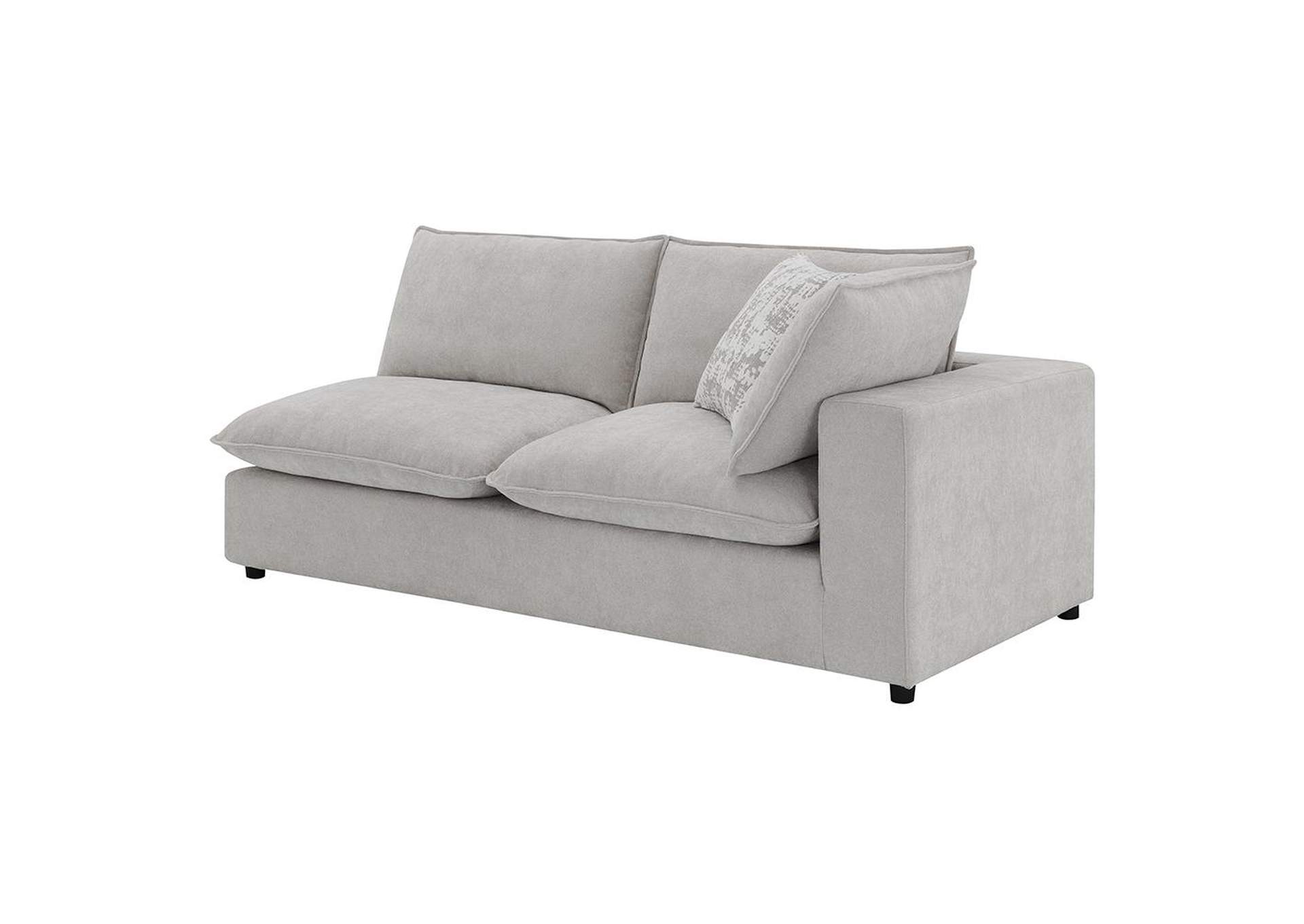 Marisa Modular Rf Loveseat with 2 Pillows image 1
