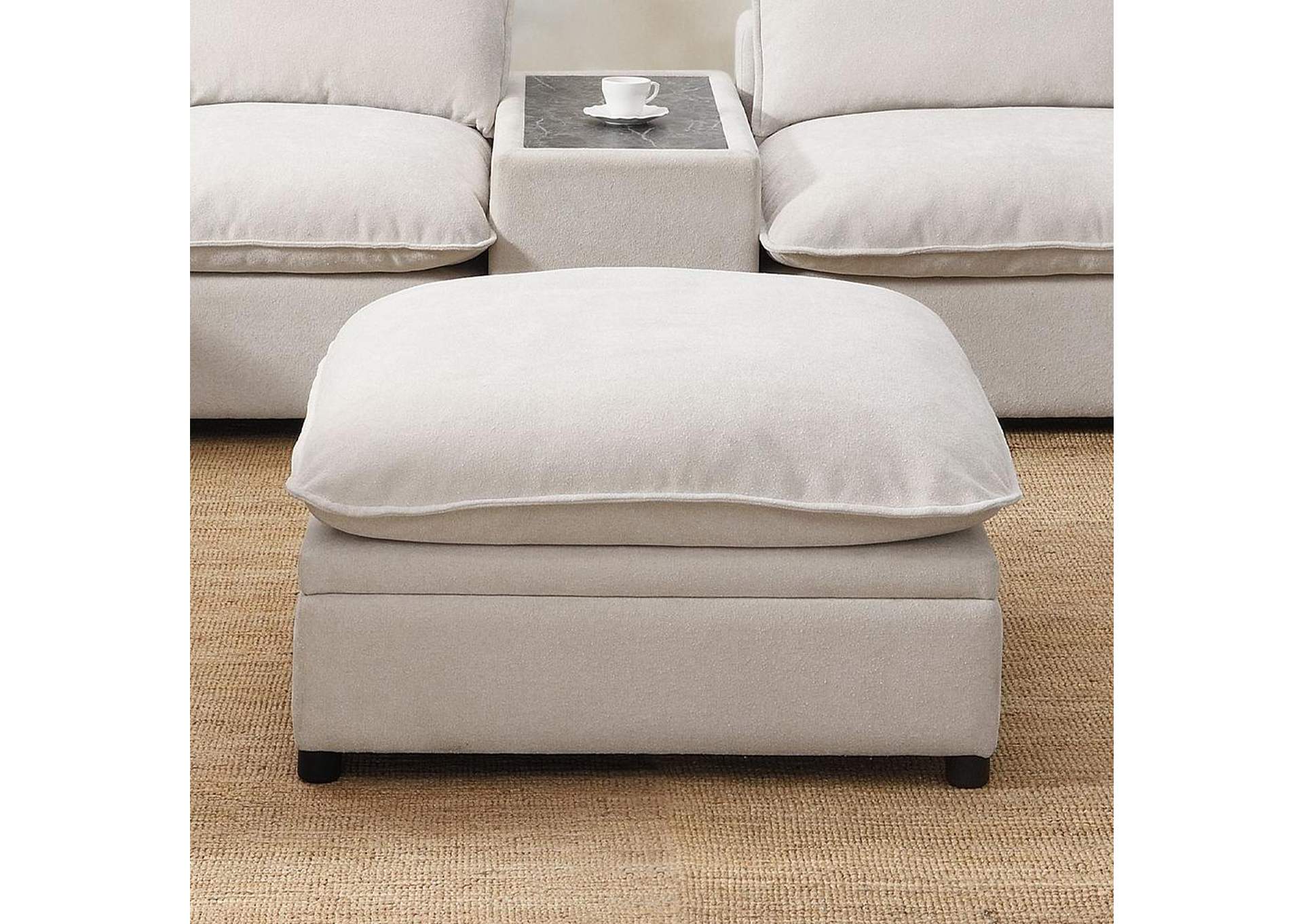 Marisa Modular Ottoman with Storage image 1