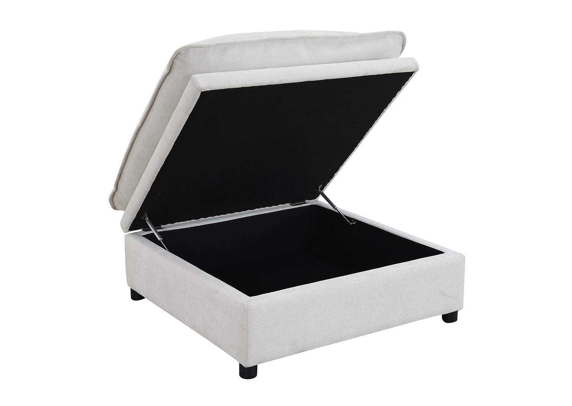 Marisa Modular Ottoman with Storage image 5