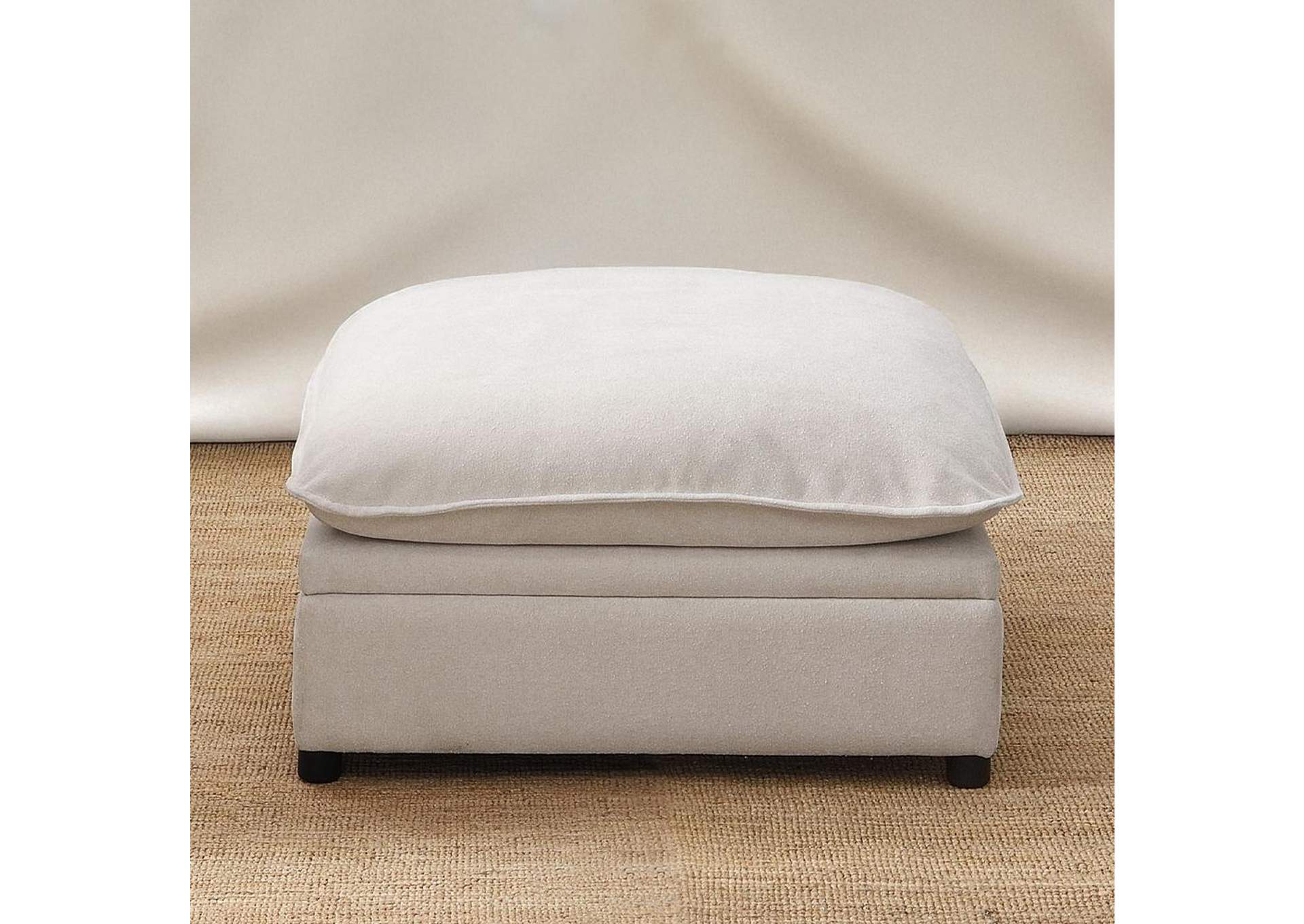 Marisa Modular Ottoman with Storage image 6