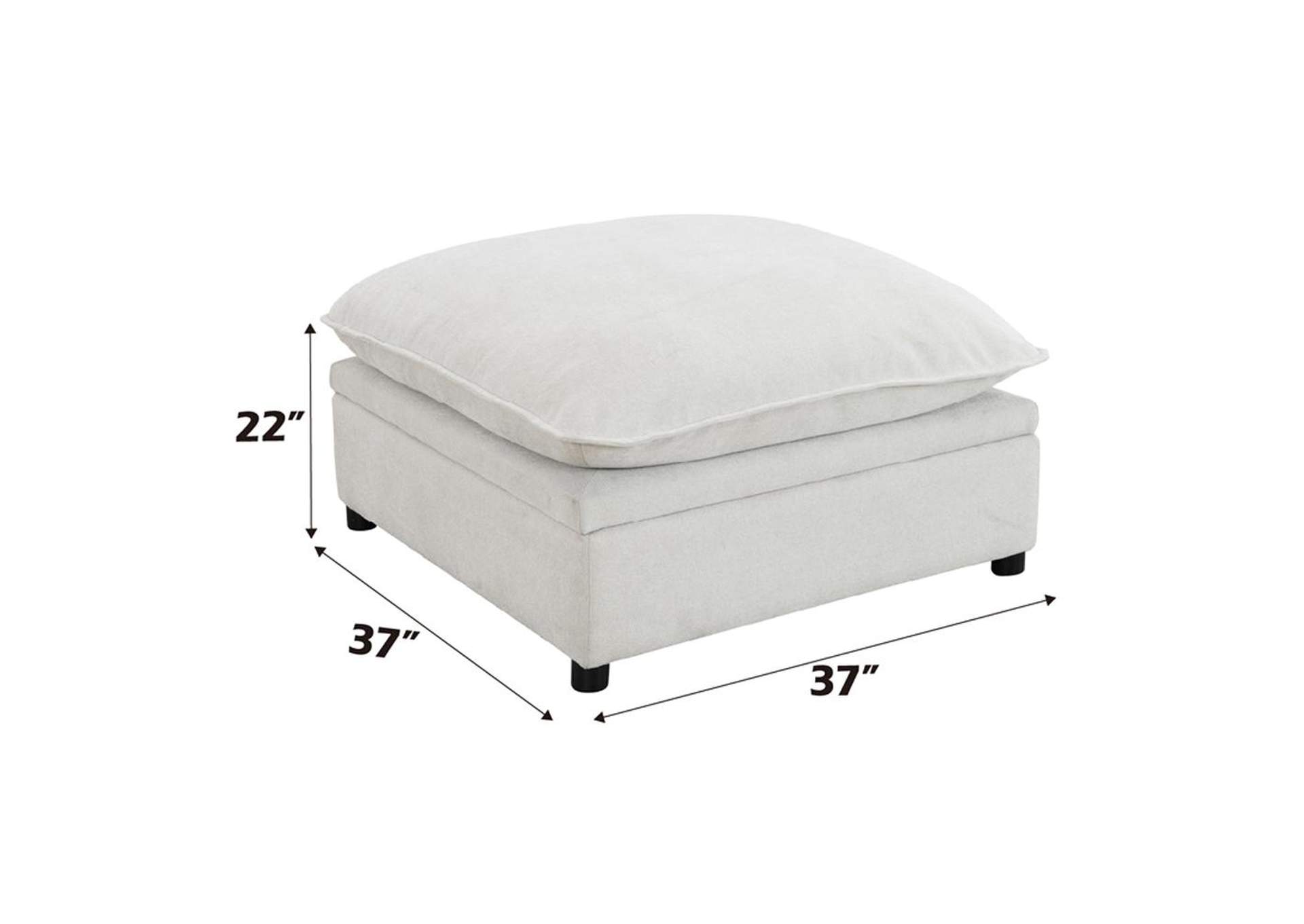 Marisa Modular Ottoman with Storage image 9