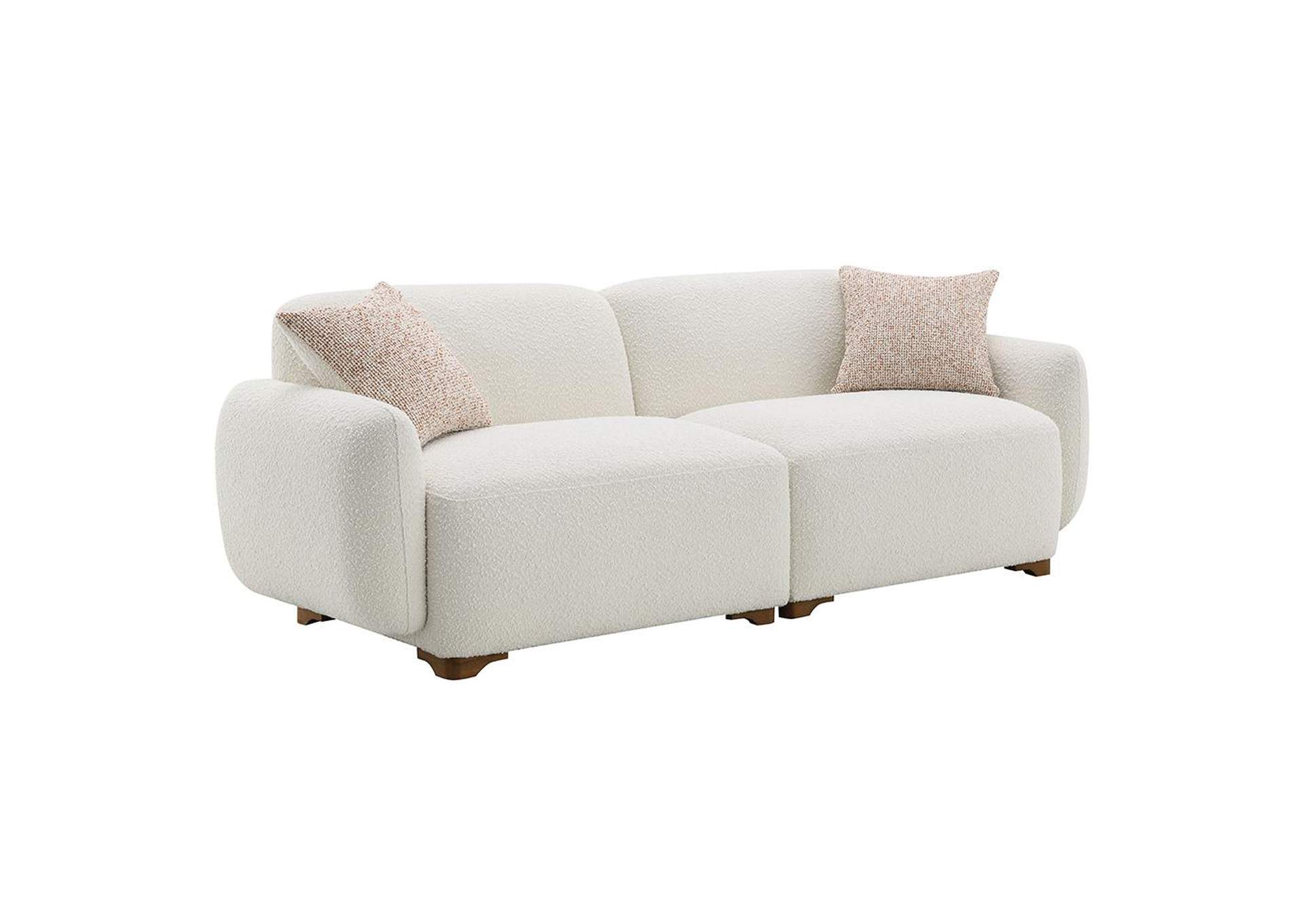 Darius Sofa with 2 Pillows image 3