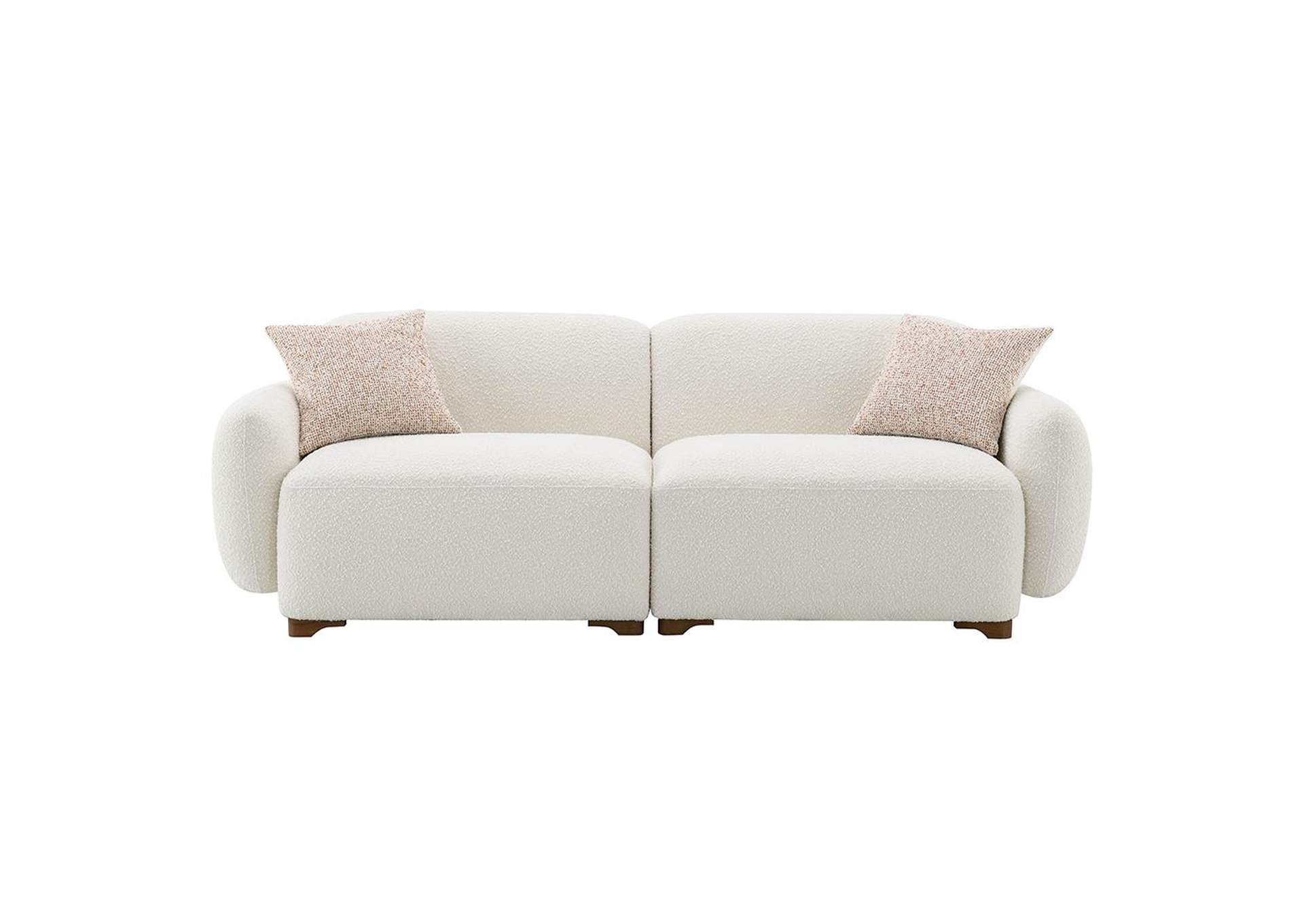 Darius Sofa with 2 Pillows image 4