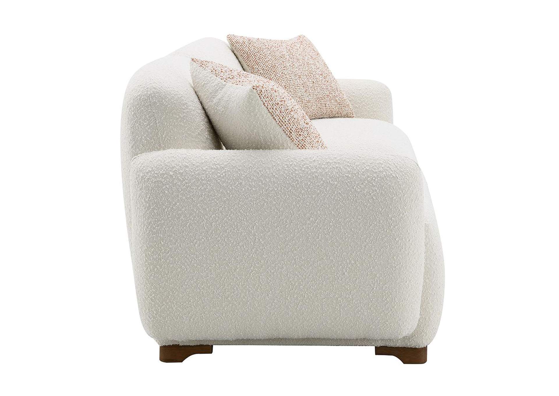 Darius Sofa with 2 Pillows image 5