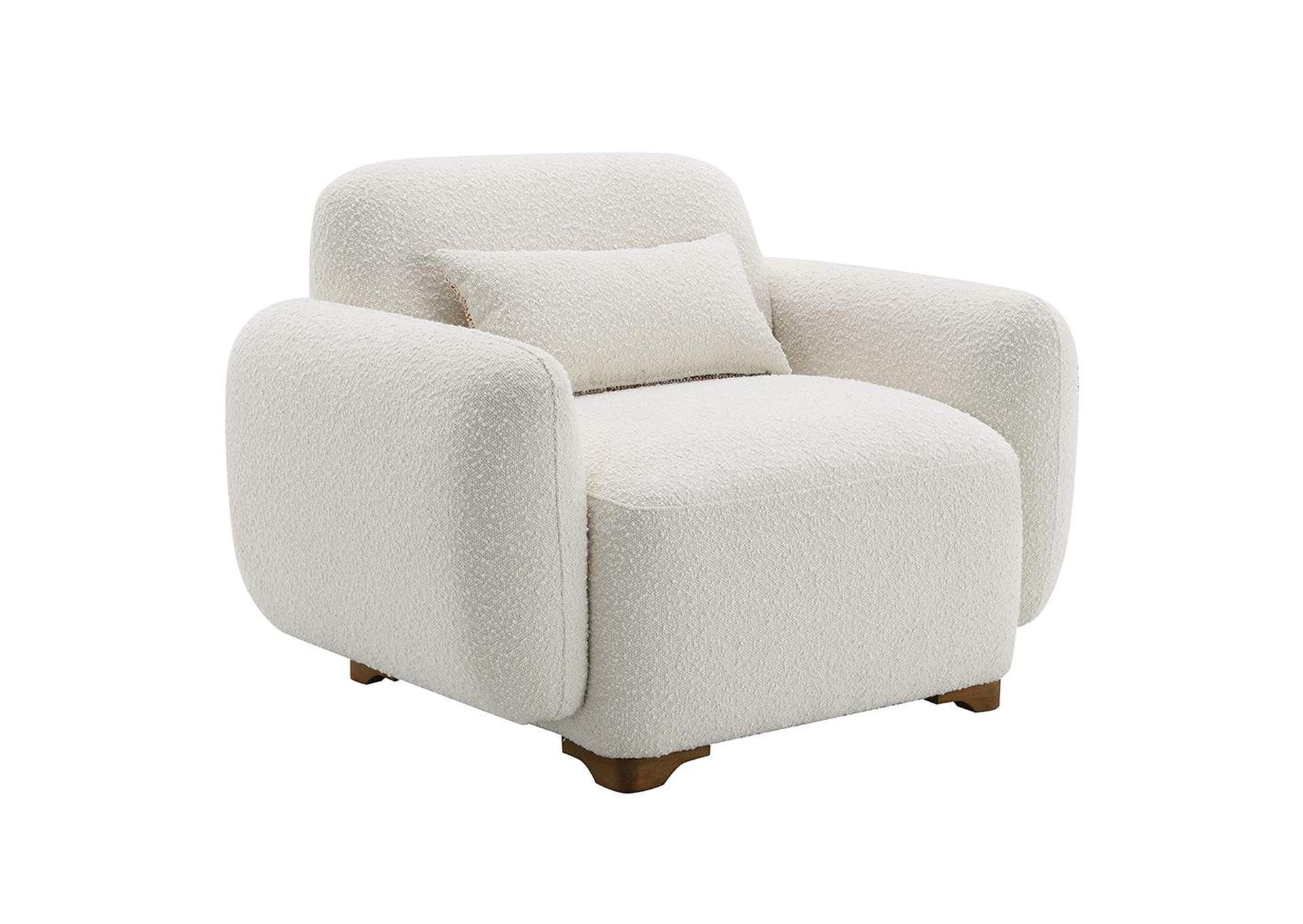 Darius Chair with Pillow image 3