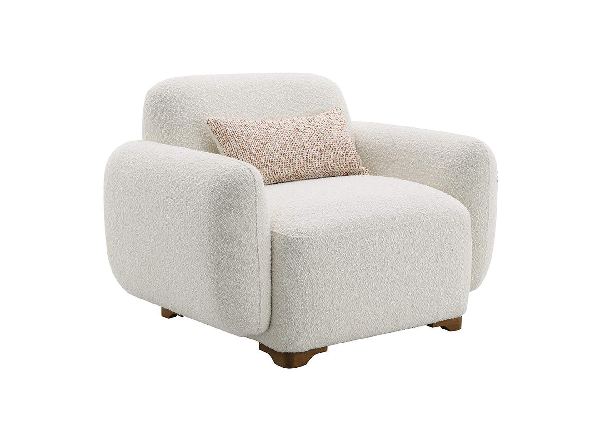 Darius Chair with Pillow image 4