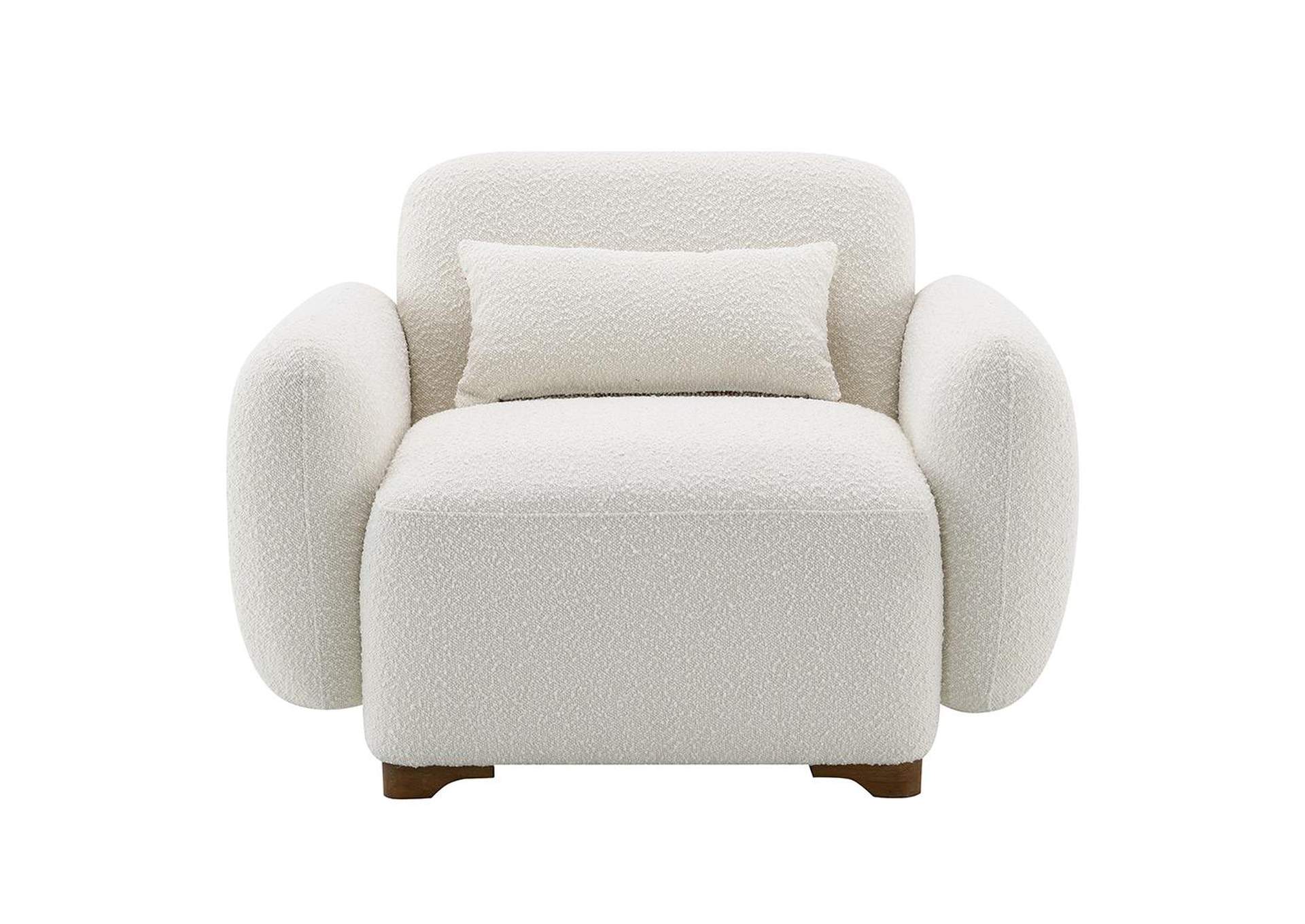 Darius Chair with Pillow image 5