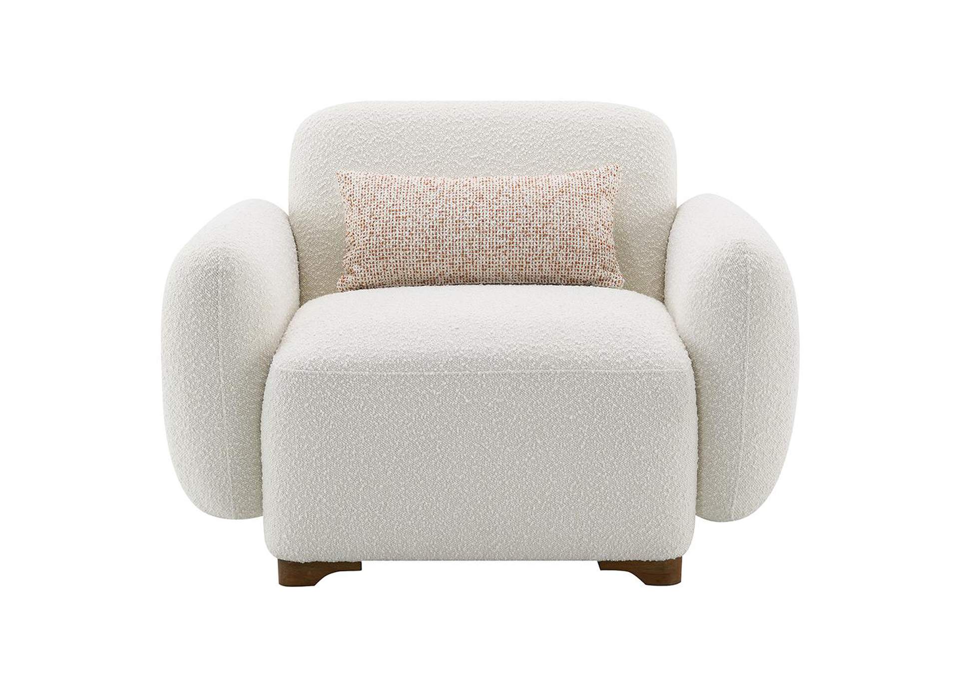 Darius Chair with Pillow image 6
