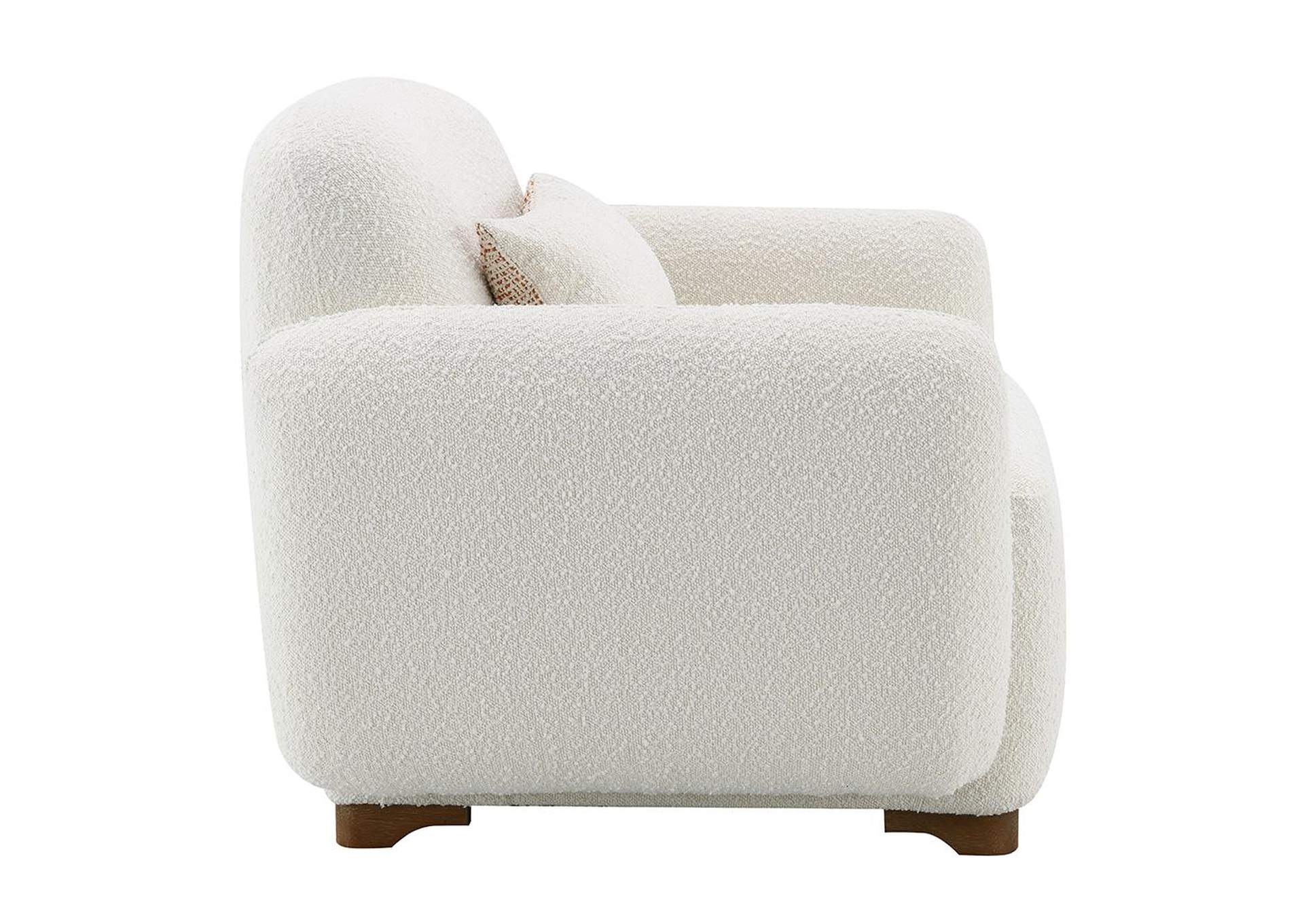 Darius Chair with Pillow image 7