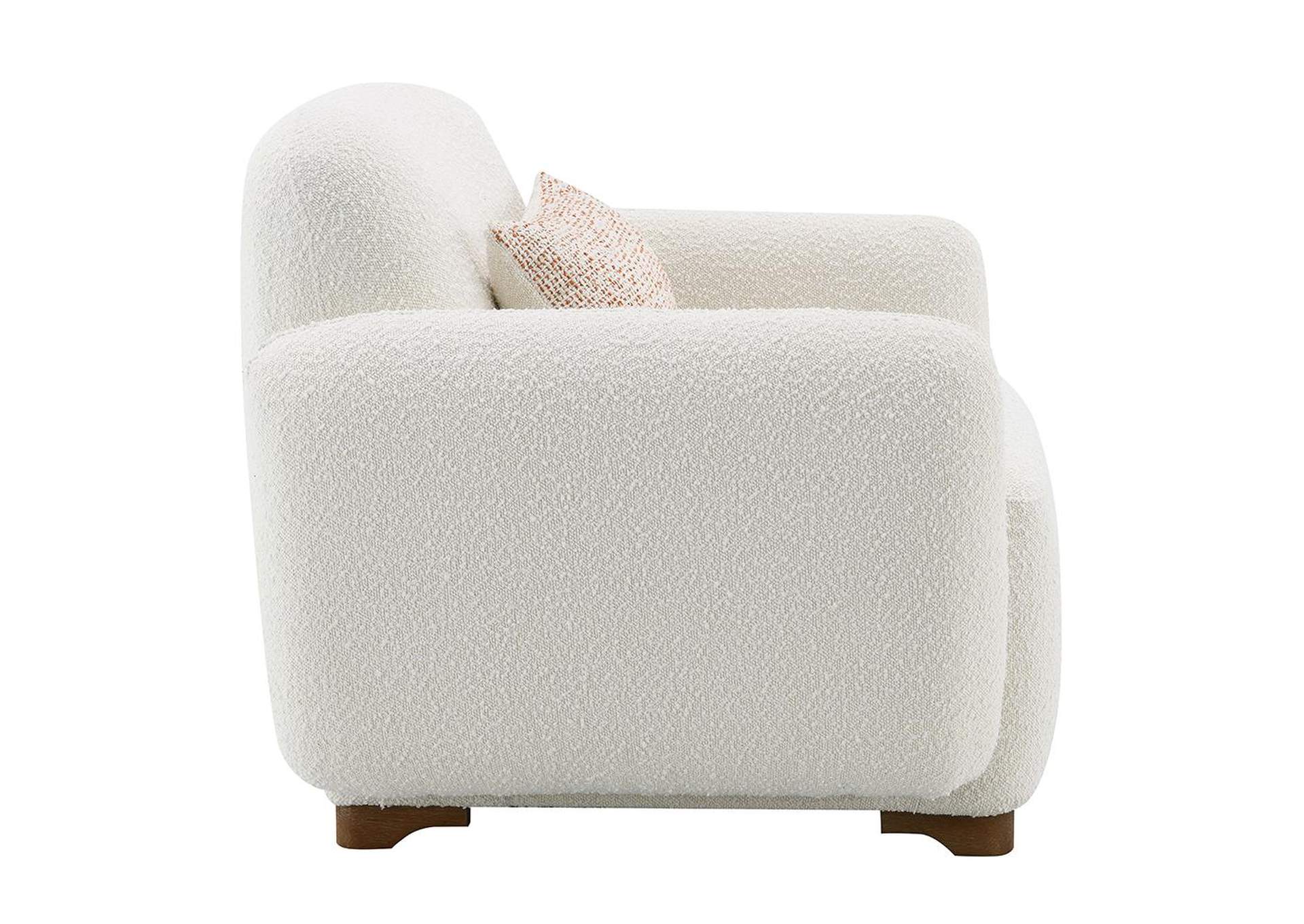 Darius Chair with Pillow image 8