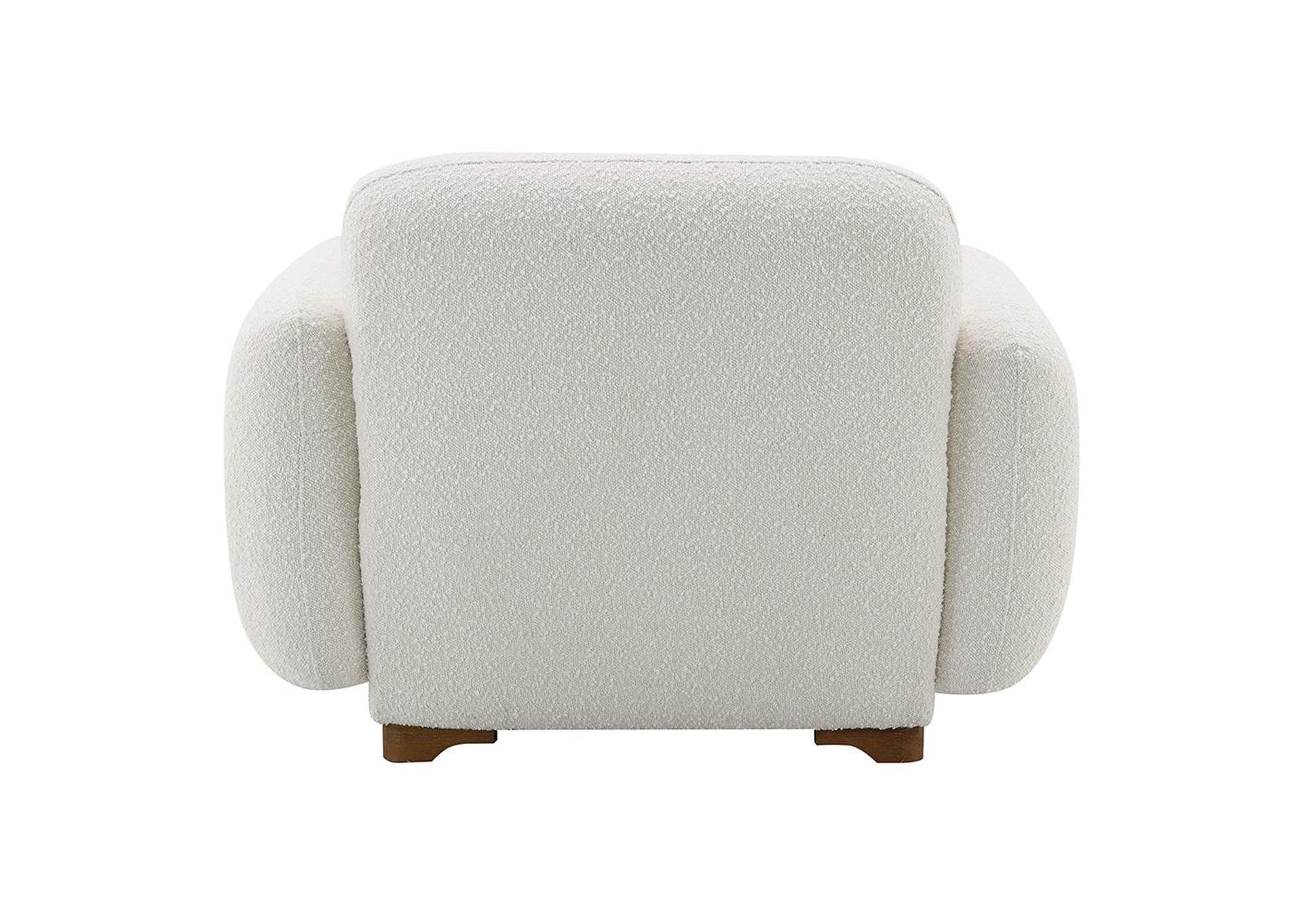 Darius Chair with Pillow image 9