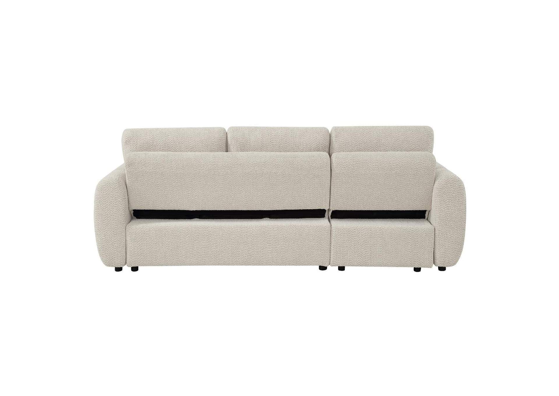 Nuriel Reversible Sectional Sofa with Sleeper and Storage image 7