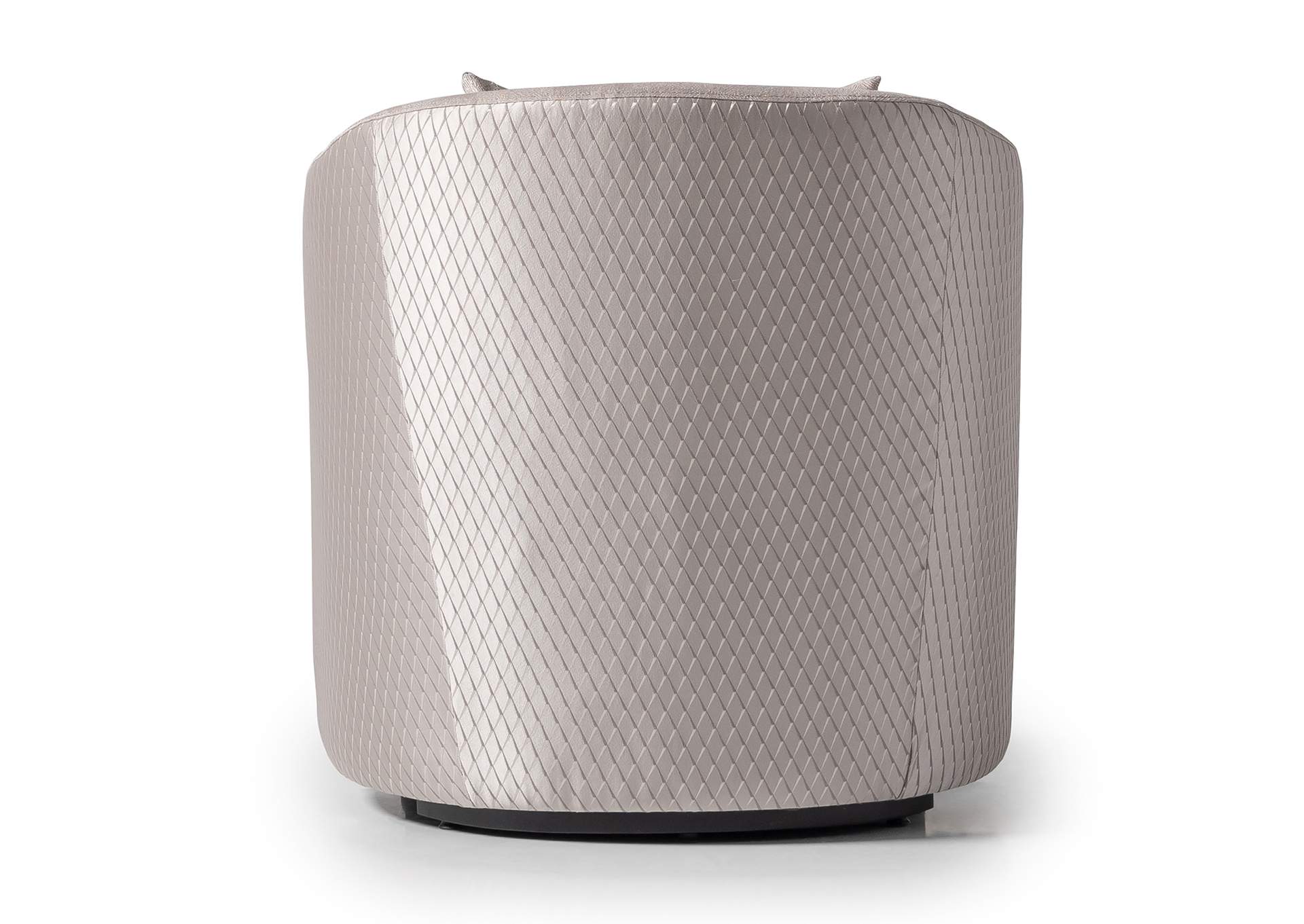 Carmela Accent Chair - Zinc and Silver image 6