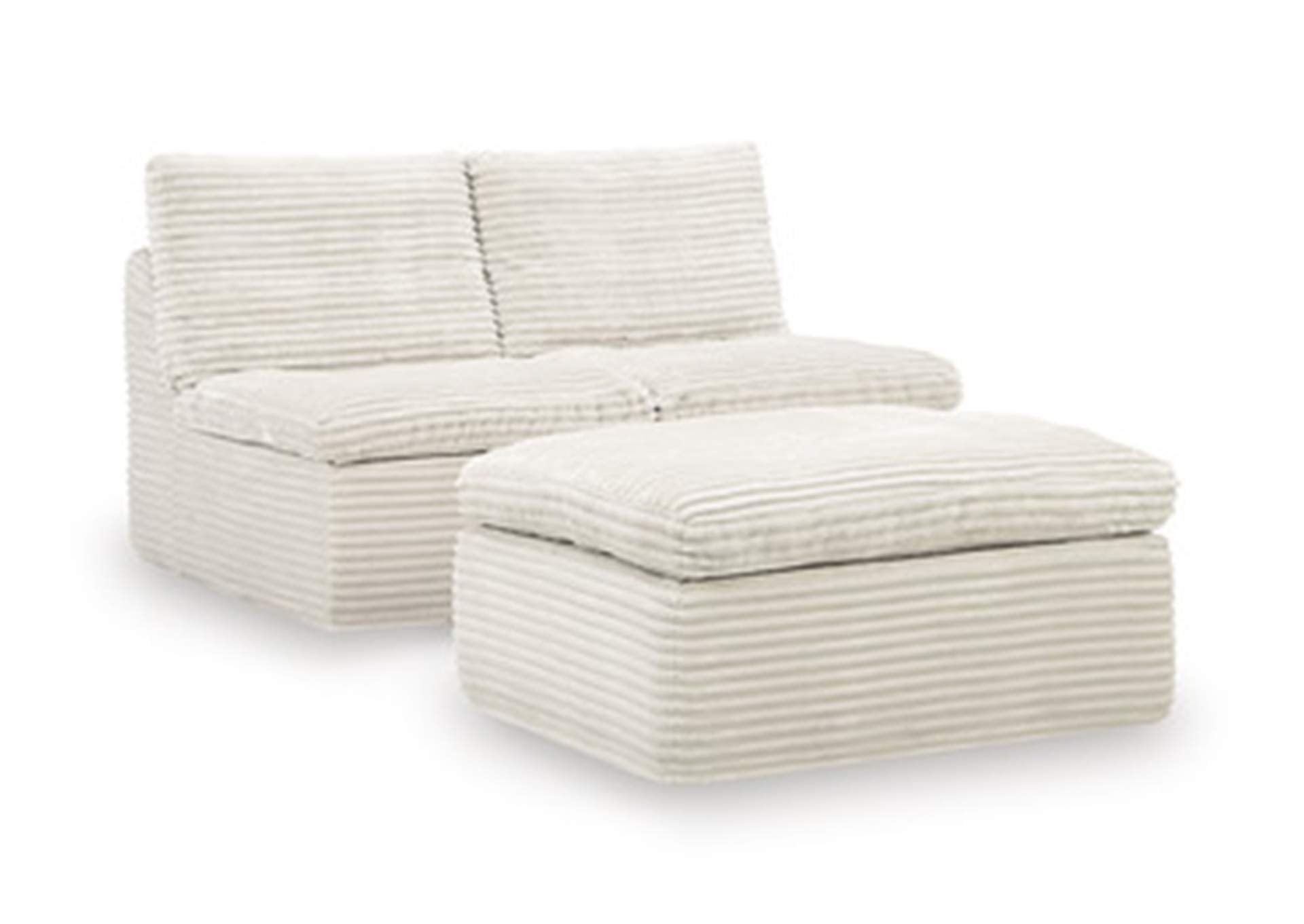Fannin Armless Chair with Ottoman image 1