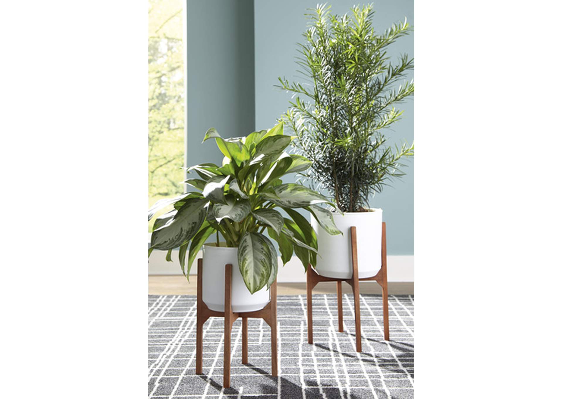 Dorcey Planter (Set of 2) image 5