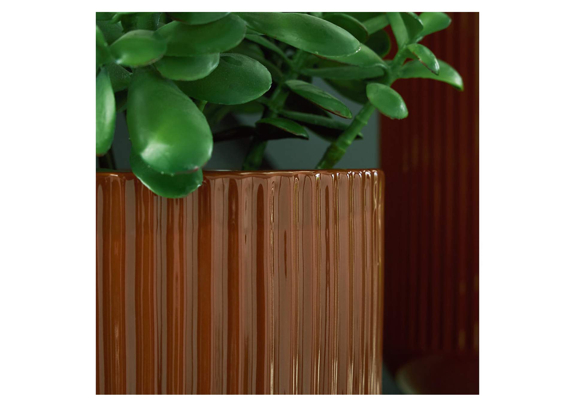 Avalyah Vase (Set of 2)