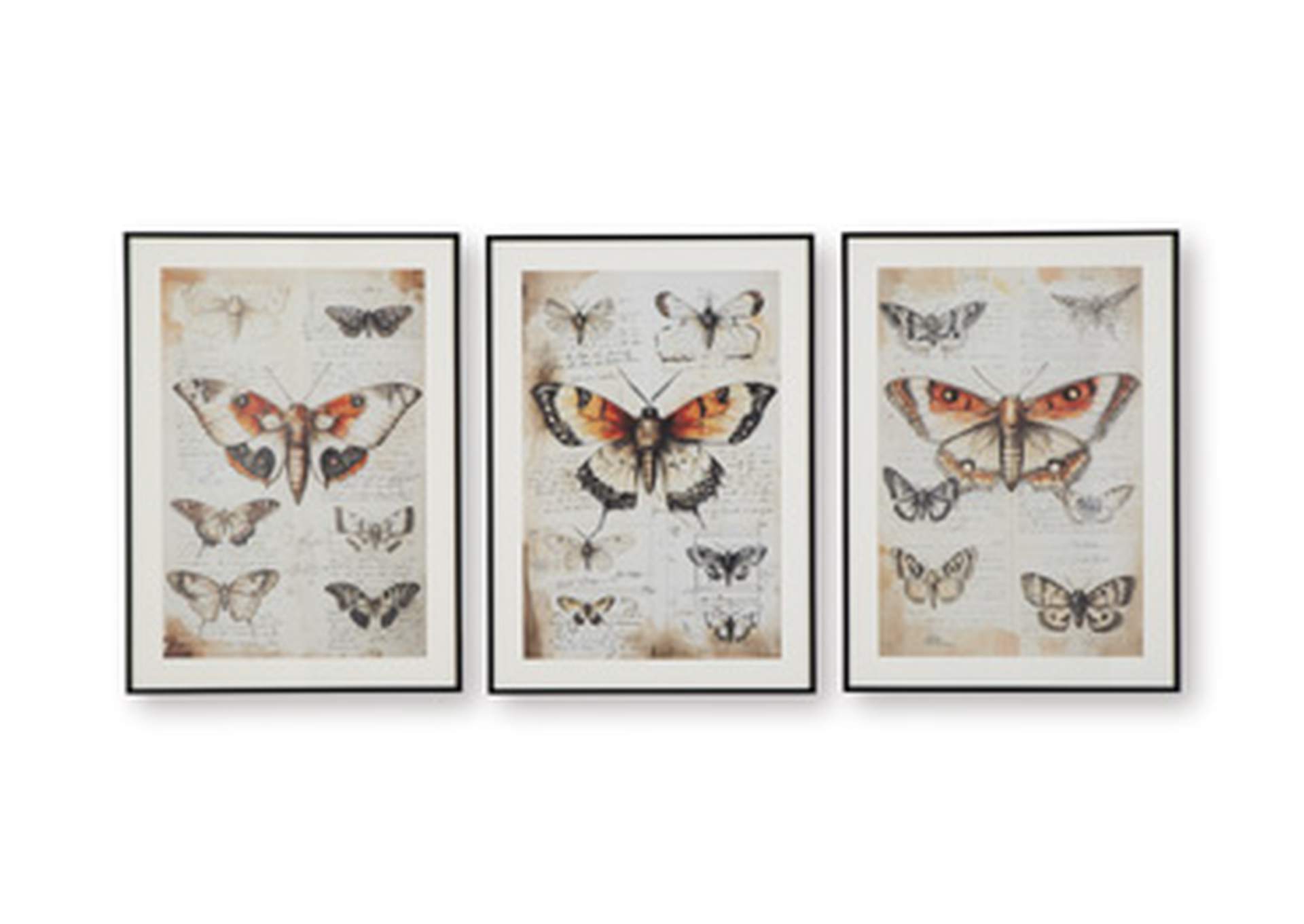 Jossletts Wall Art (Set of 3) image 5