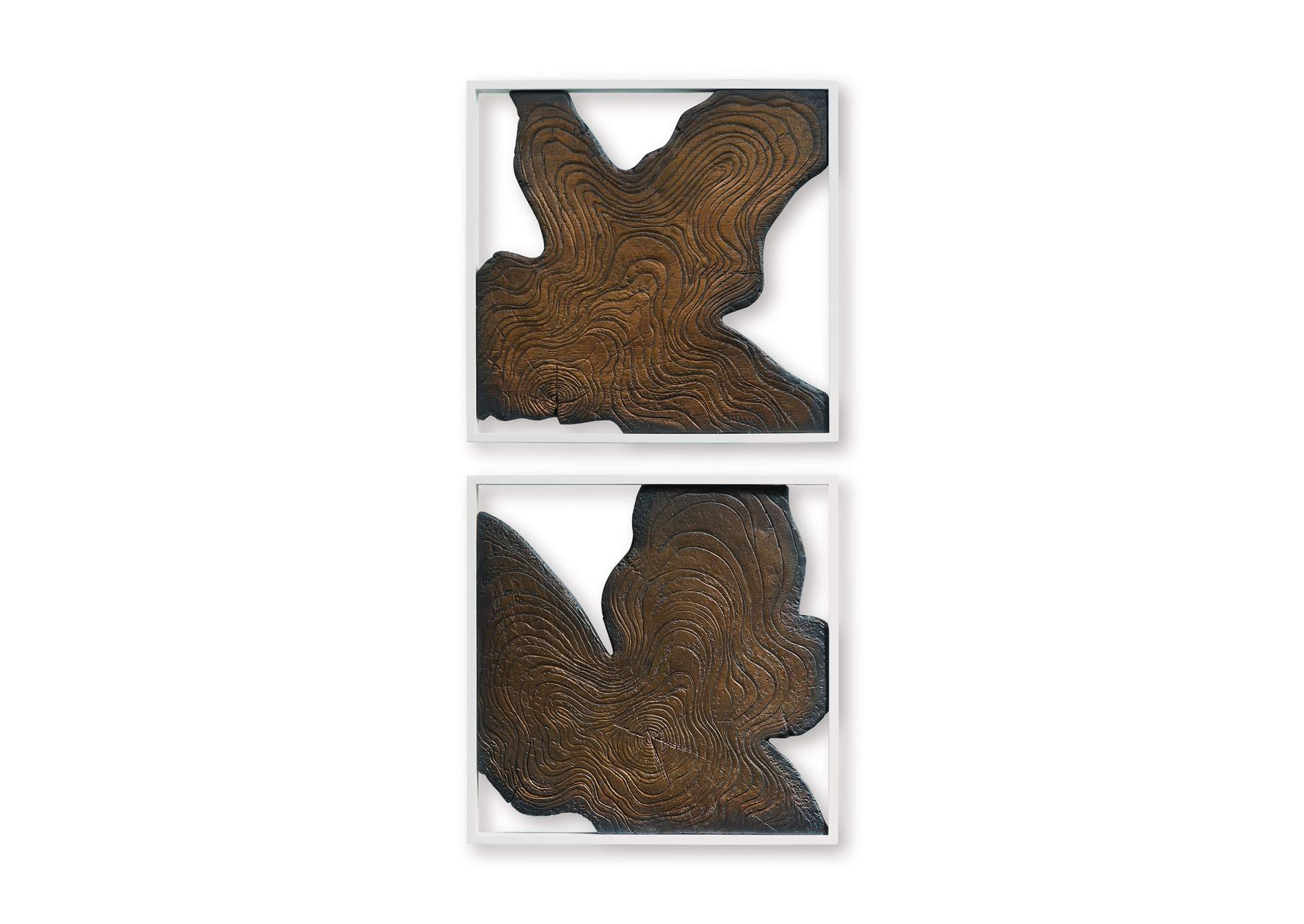 Landley Wall Decor (Set of 2) image 5