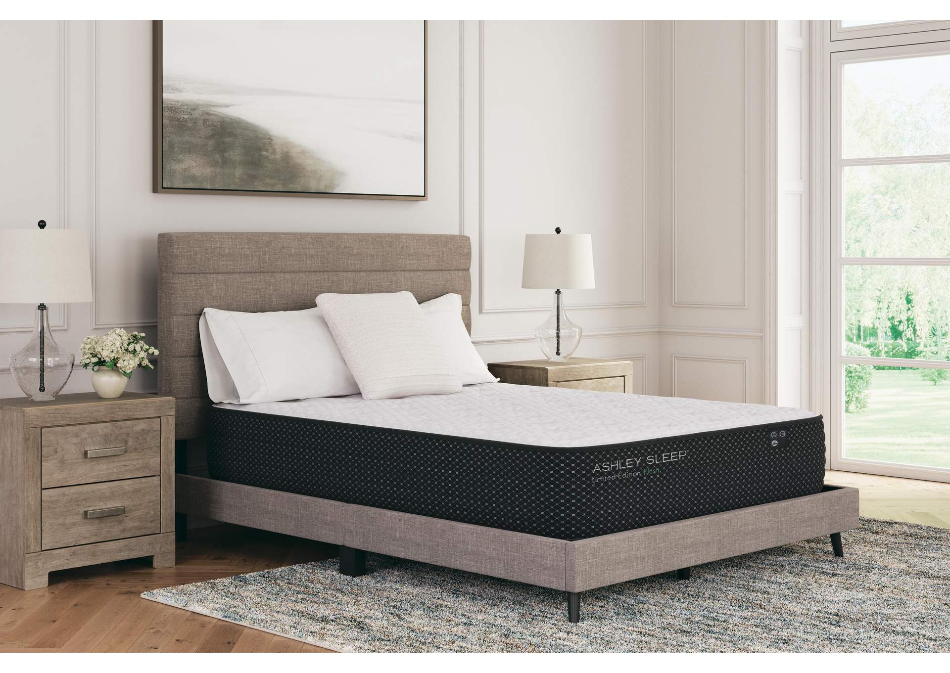 Limited Edition Plush Queen Mattress image 12