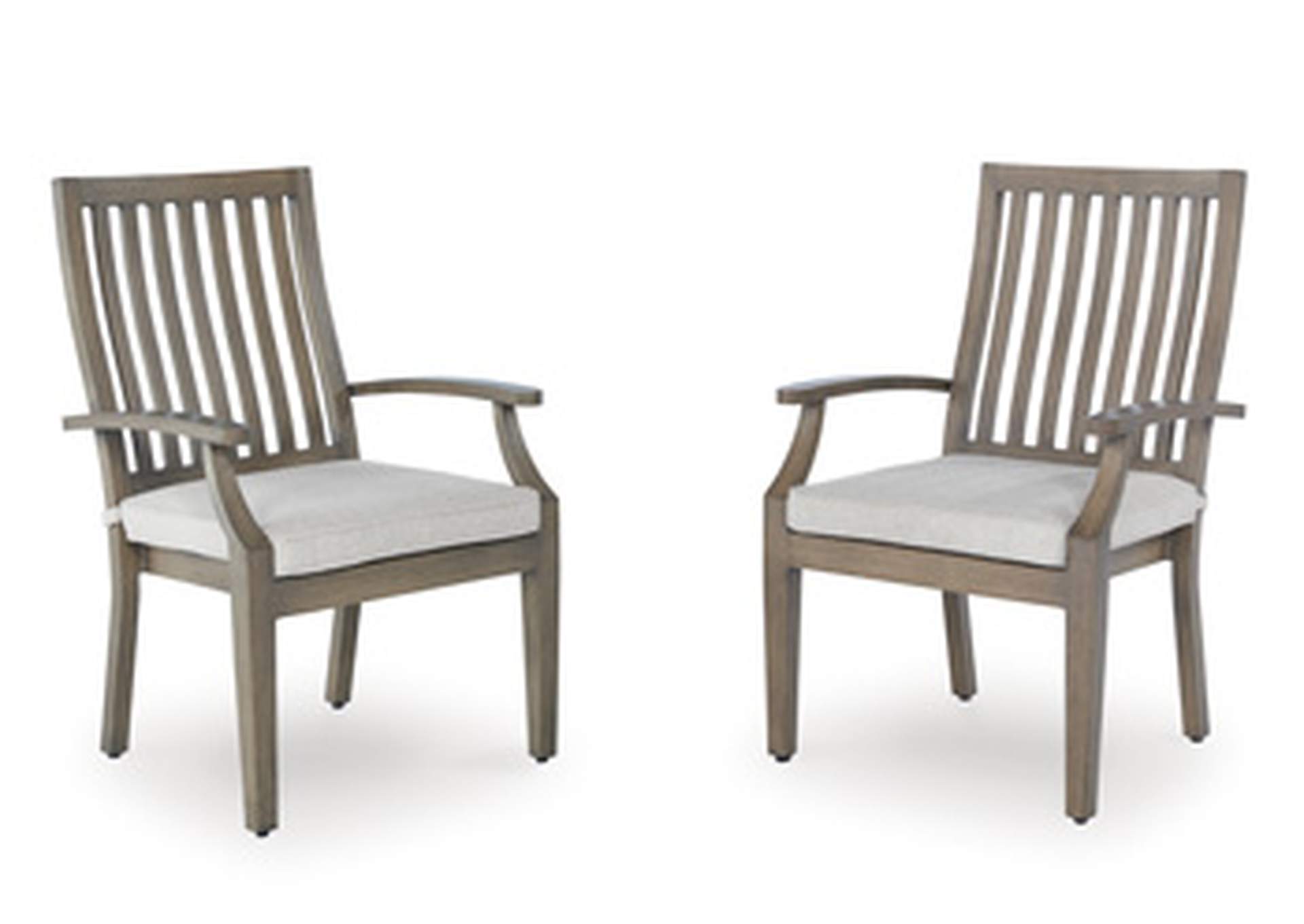 Rainier Ranch Outdoor Arm Chair with Cushion (Set of 2) image 10