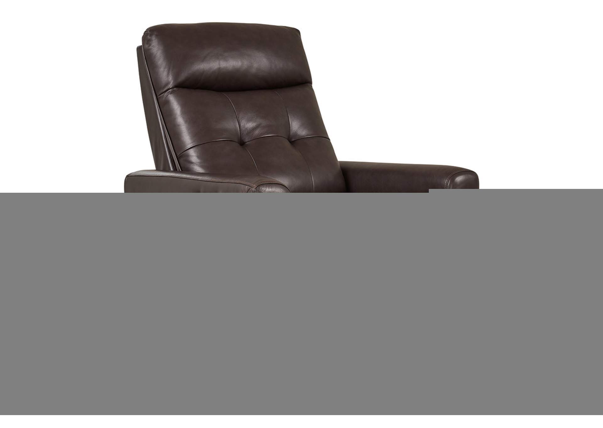 Pisgham Power Recliner