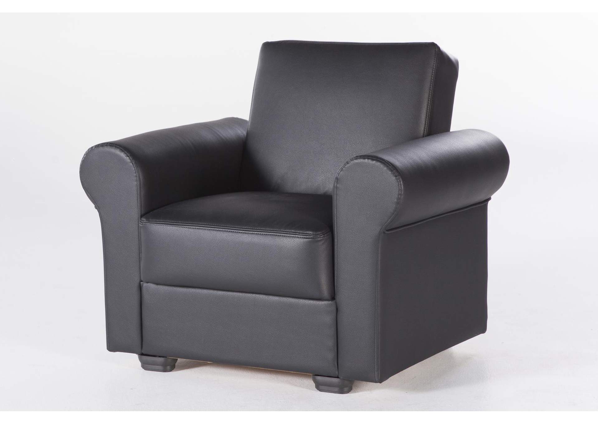 FLORIS ARMCHAIR - SANTA GLORY BLACK - 2 PIECES image 4