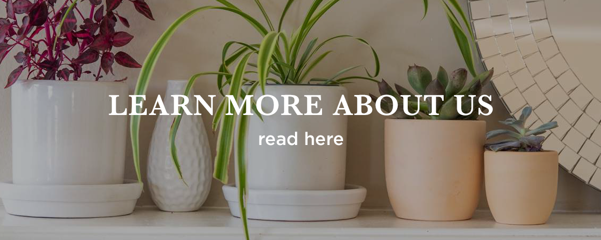 Learn More About Us