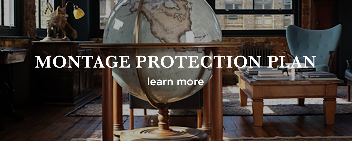 Montage Protection Plan