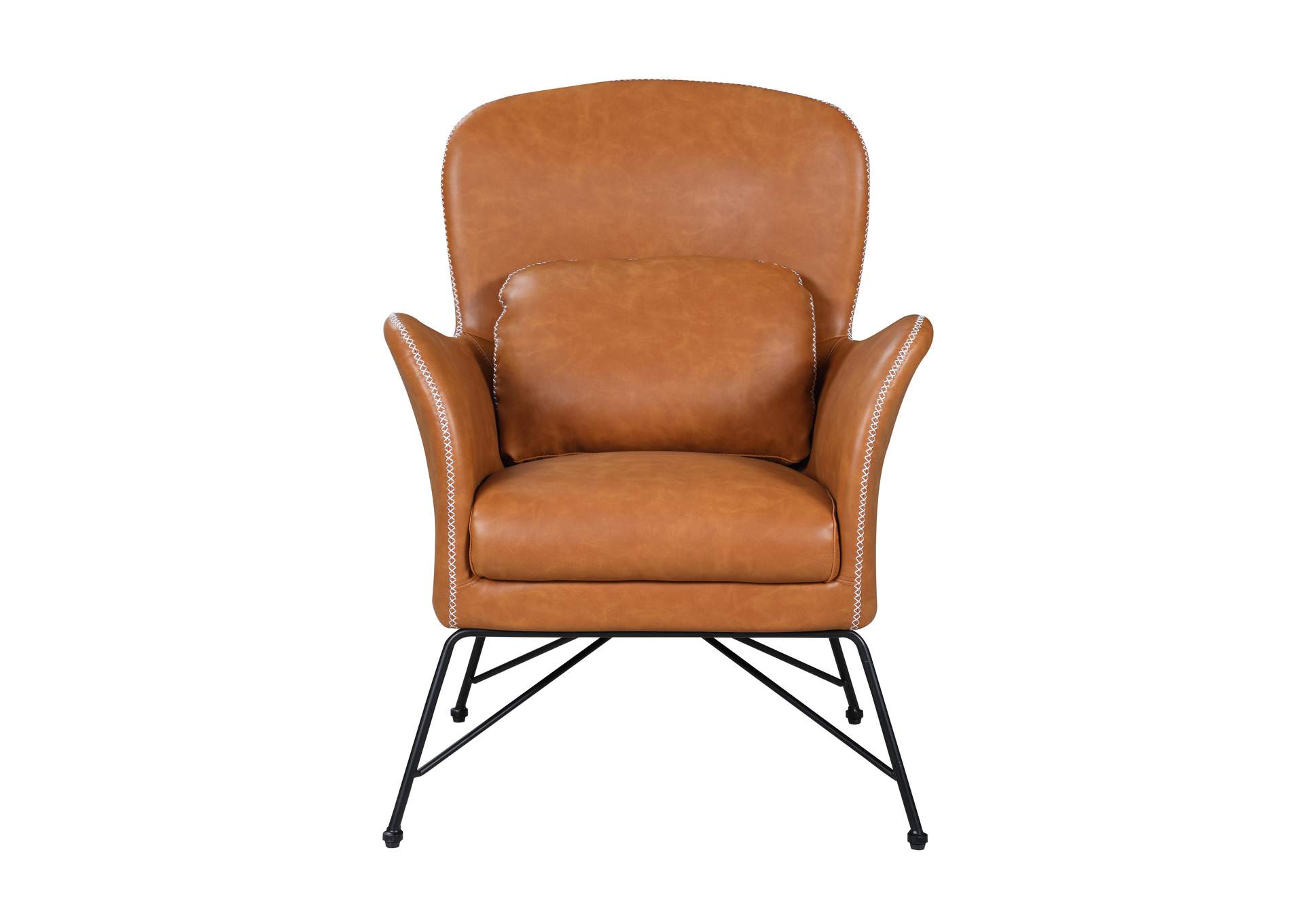 Accent Chair With Steel Frame image 4