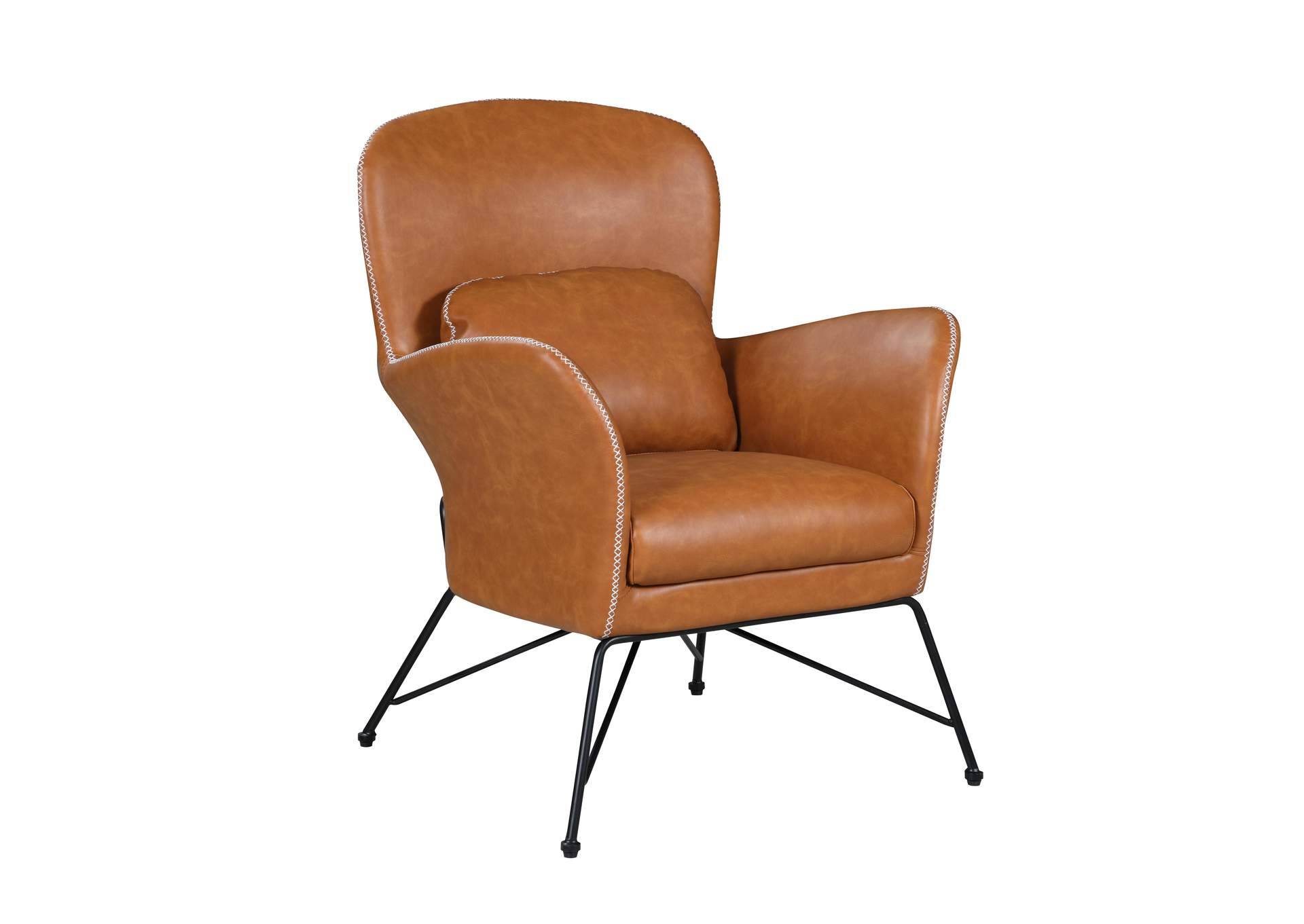 Accent Chair With Steel Frame image 1