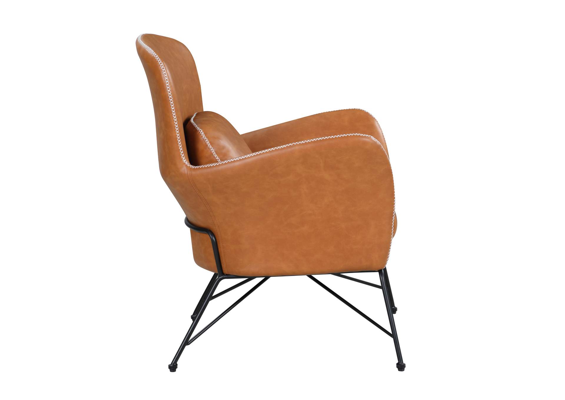 Accent Chair With Steel Frame image 5