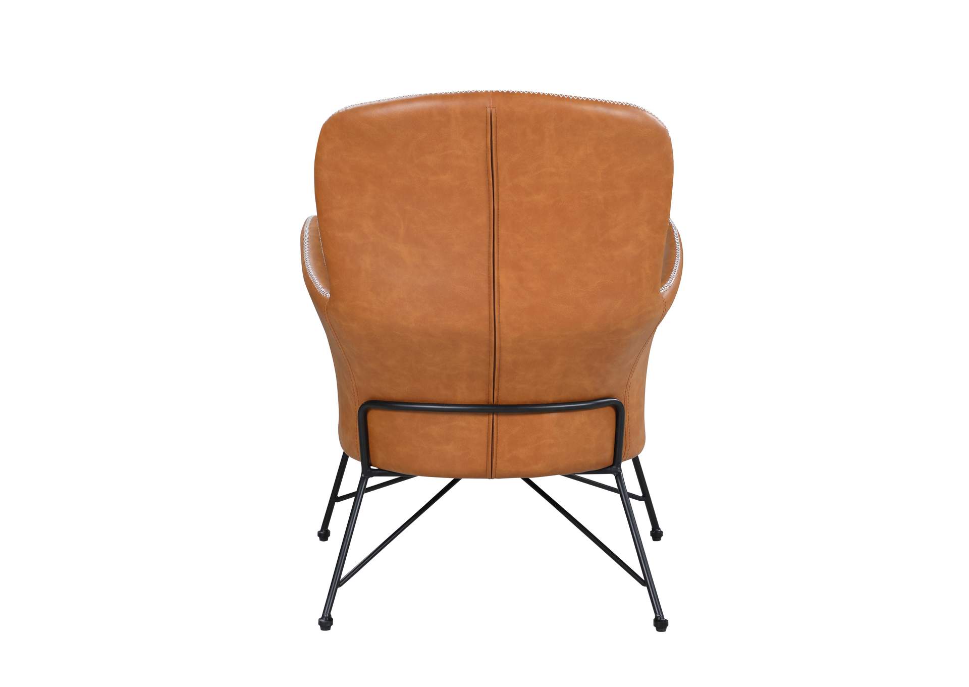 Accent Chair With Steel Frame image 6