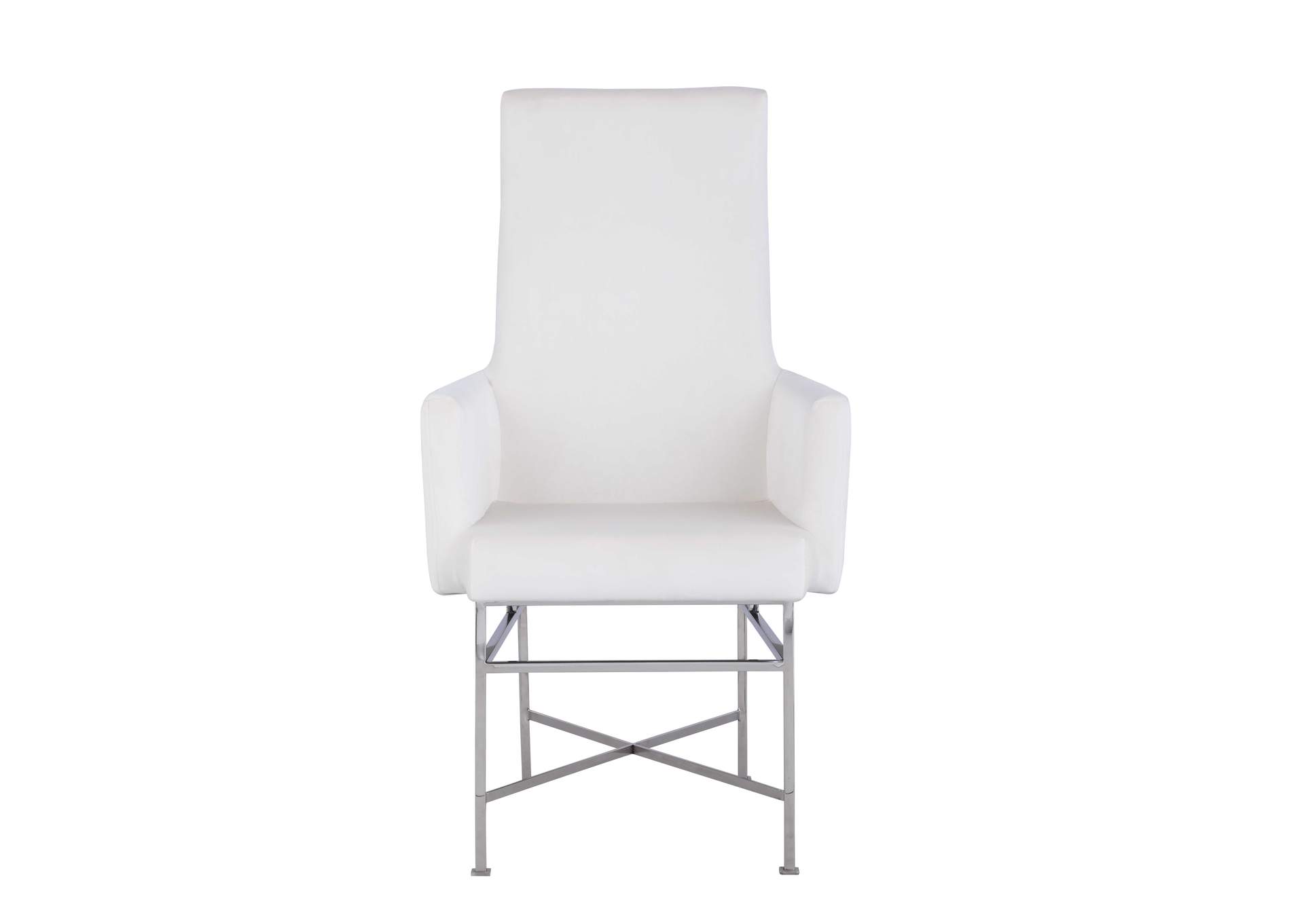 Contemporary Arm Chair With Steel Frame image 5