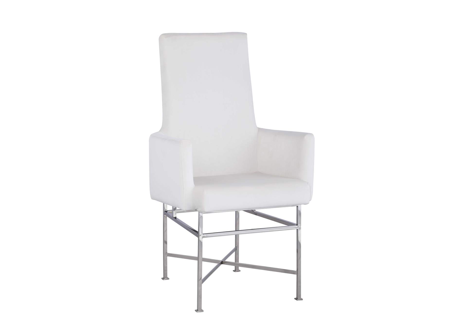 Contemporary Arm Chair With Steel Frame image 3
