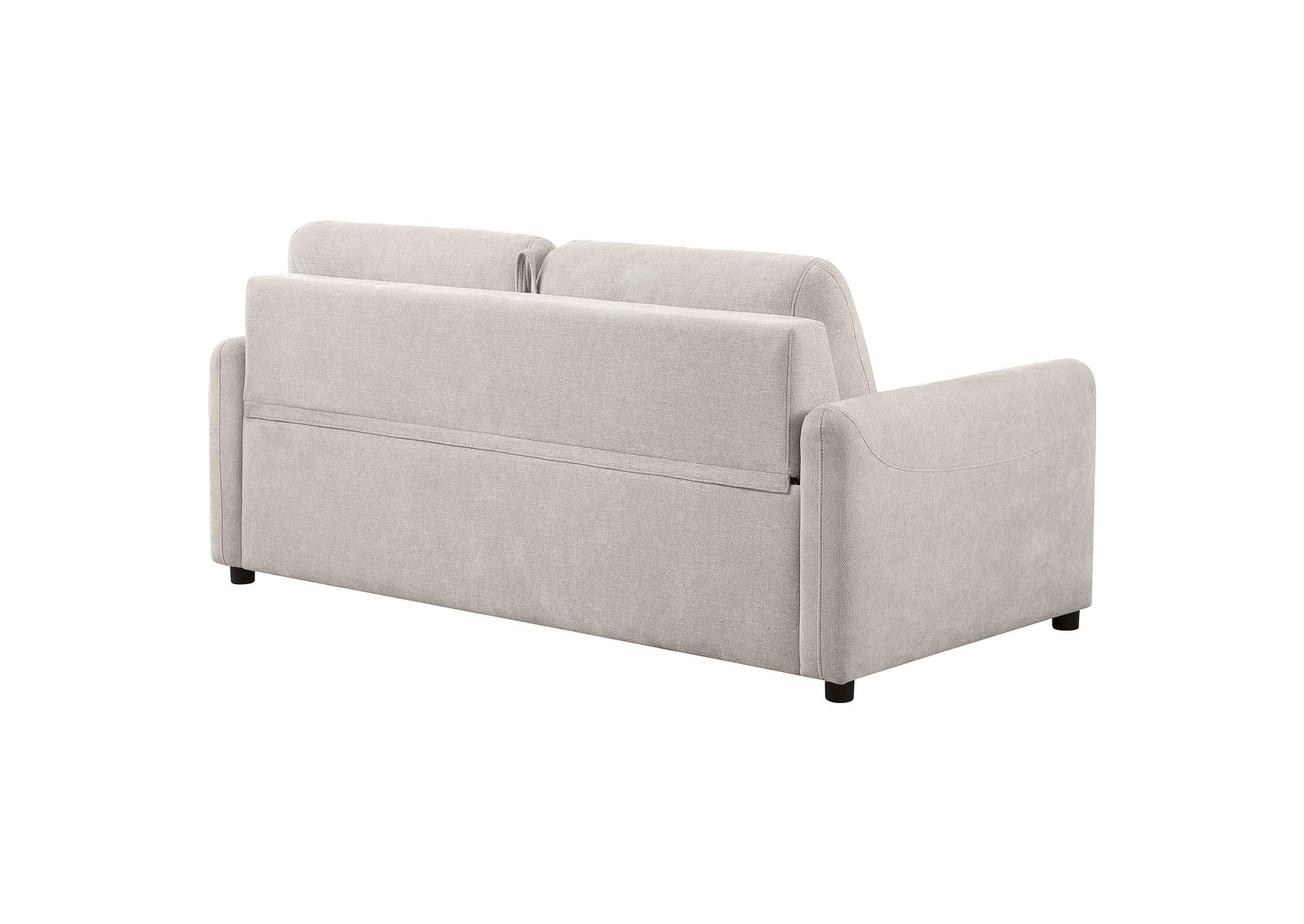 Rylie Upholstered Sofa Sleeper with Queen Mattress Beige