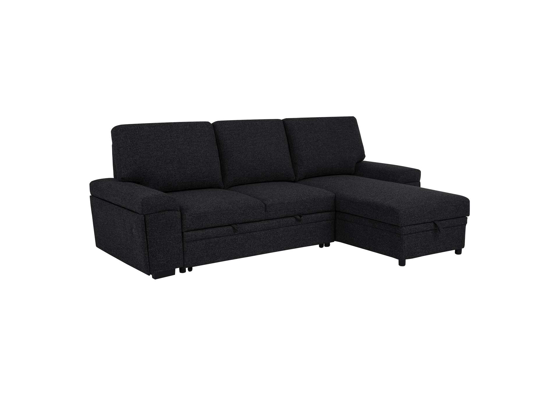 Demko Sleeper Sectional Sofa with Speaker and Storage Chaise Black image 1