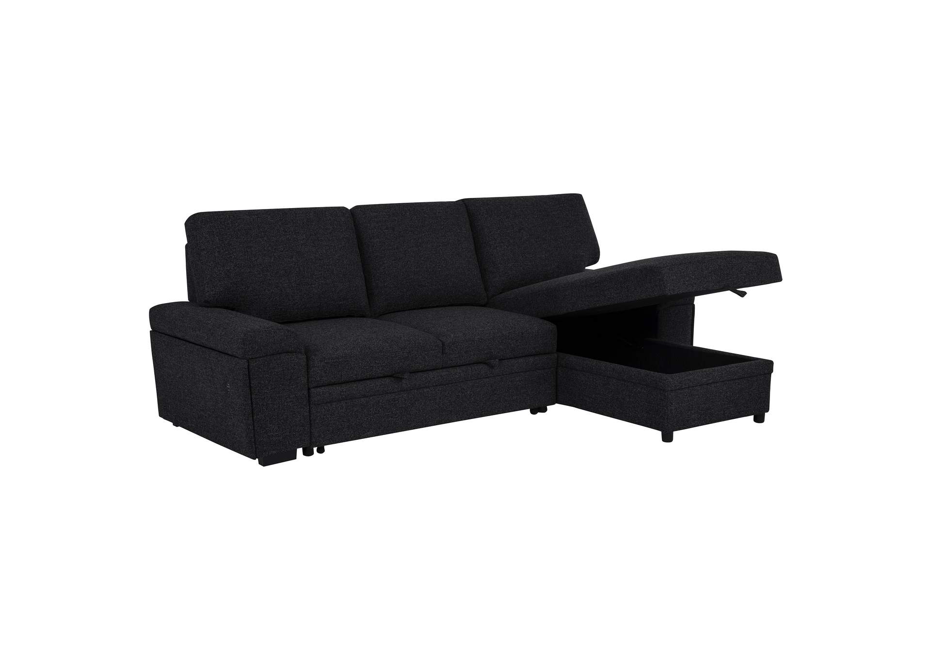 Demko Sleeper Sectional Sofa with Speaker and Storage Chaise Black image 18