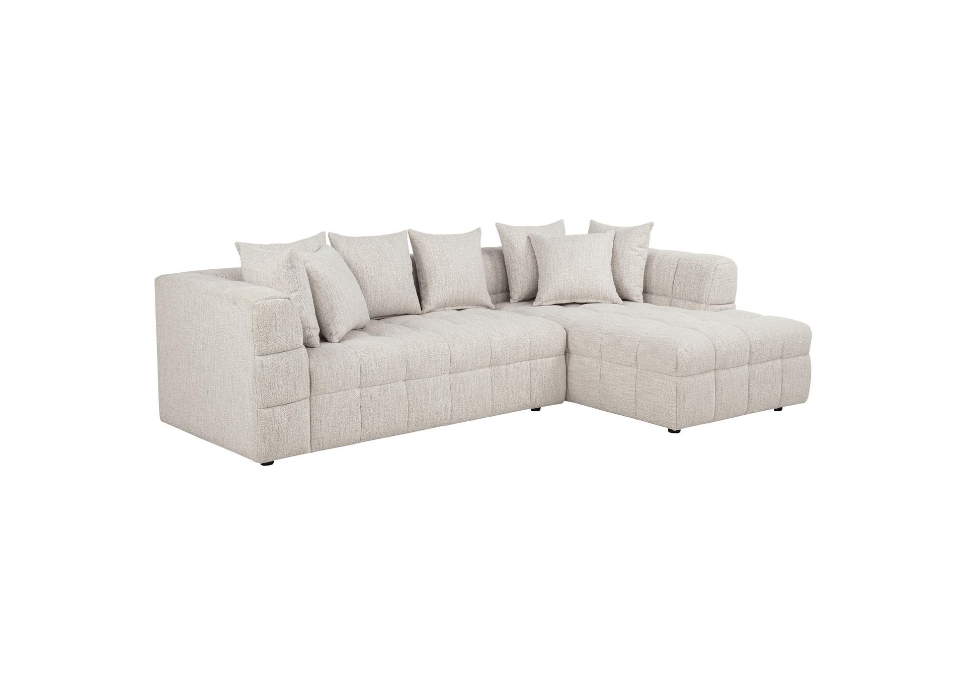 Amara 2-Piece Upholstered Sectional Sofa image 1