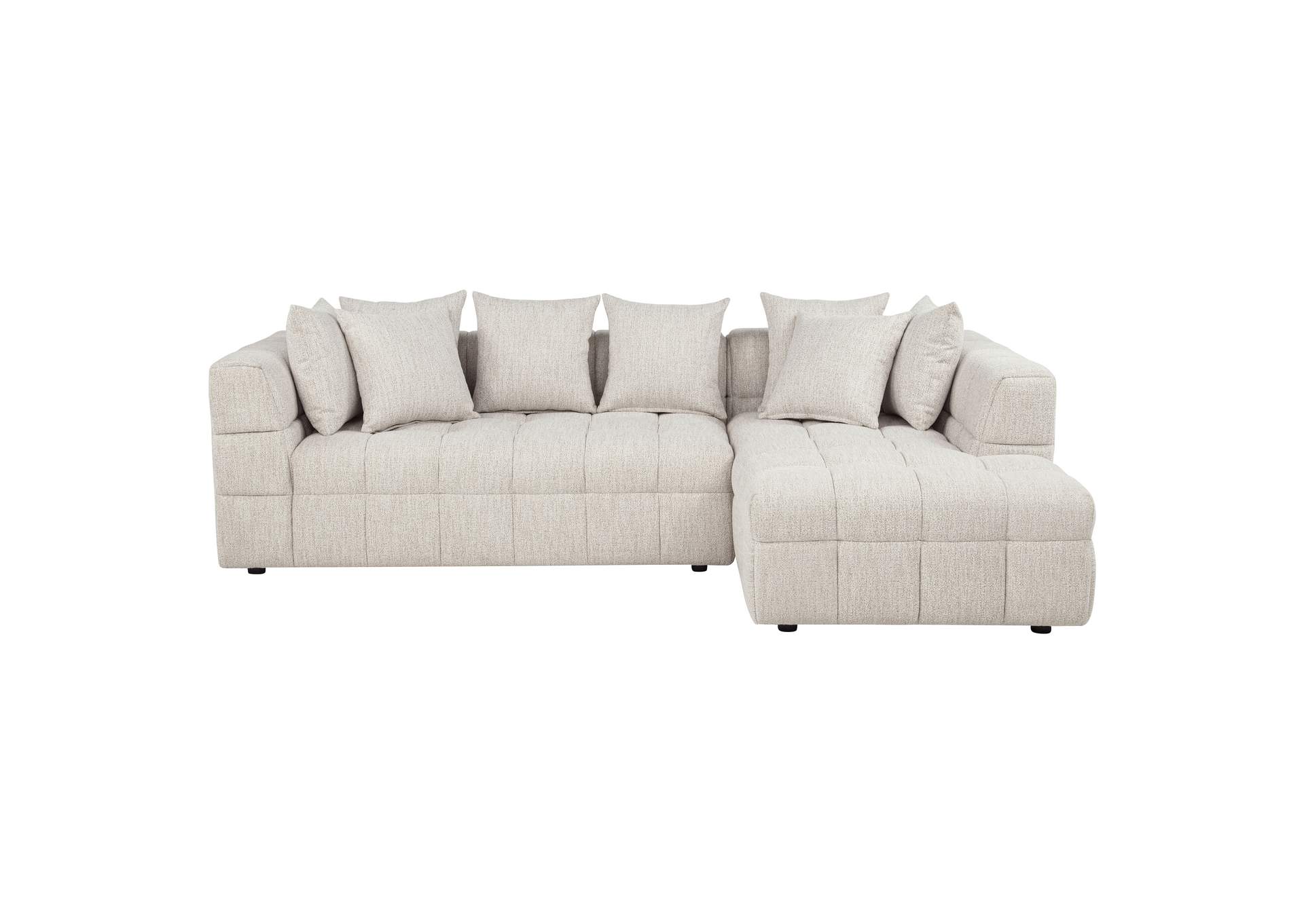 Amara 2-Piece Upholstered Sectional Sofa image 4