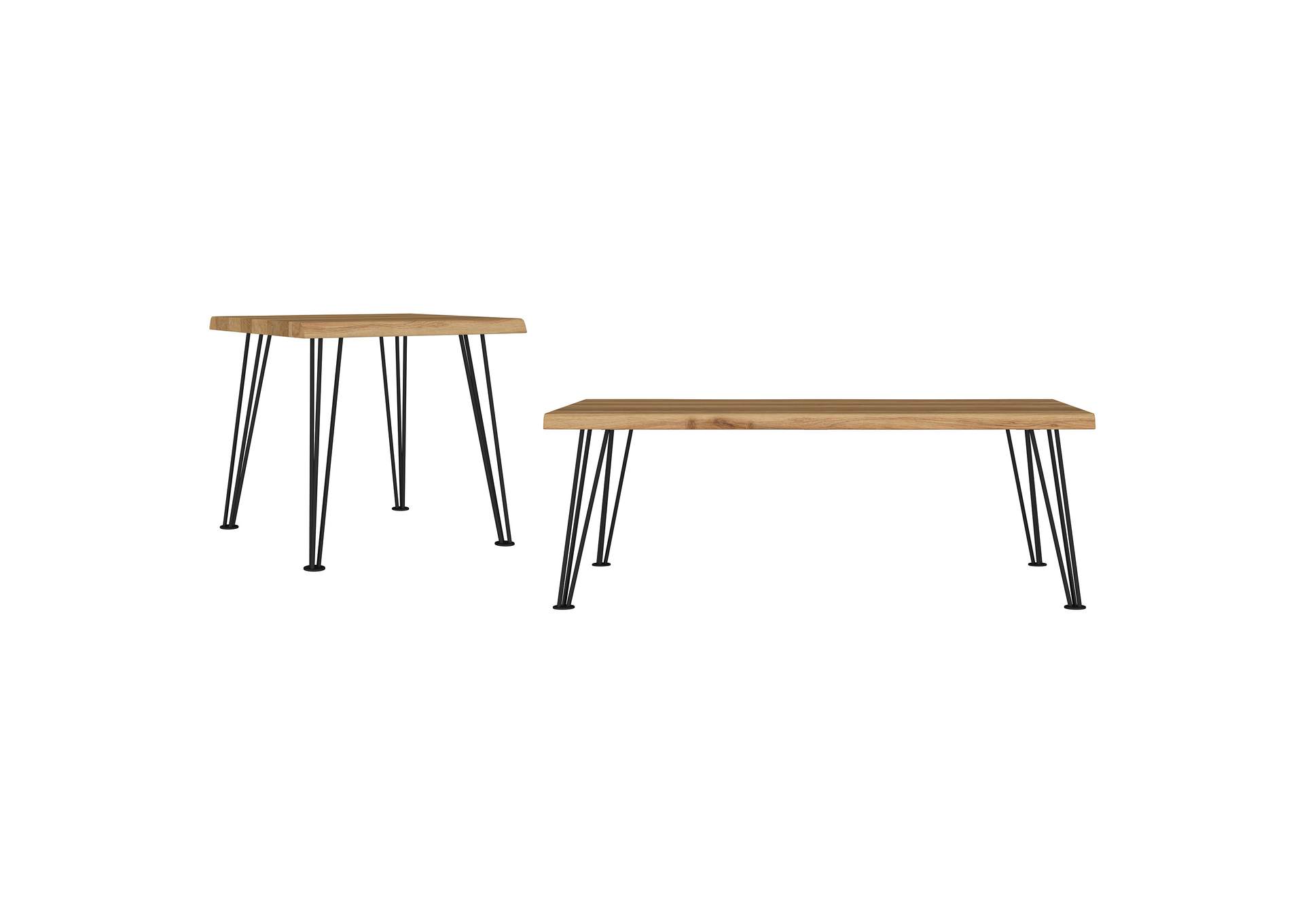 Zander 2-piece Rectangular Coffee and End Table Set Natural