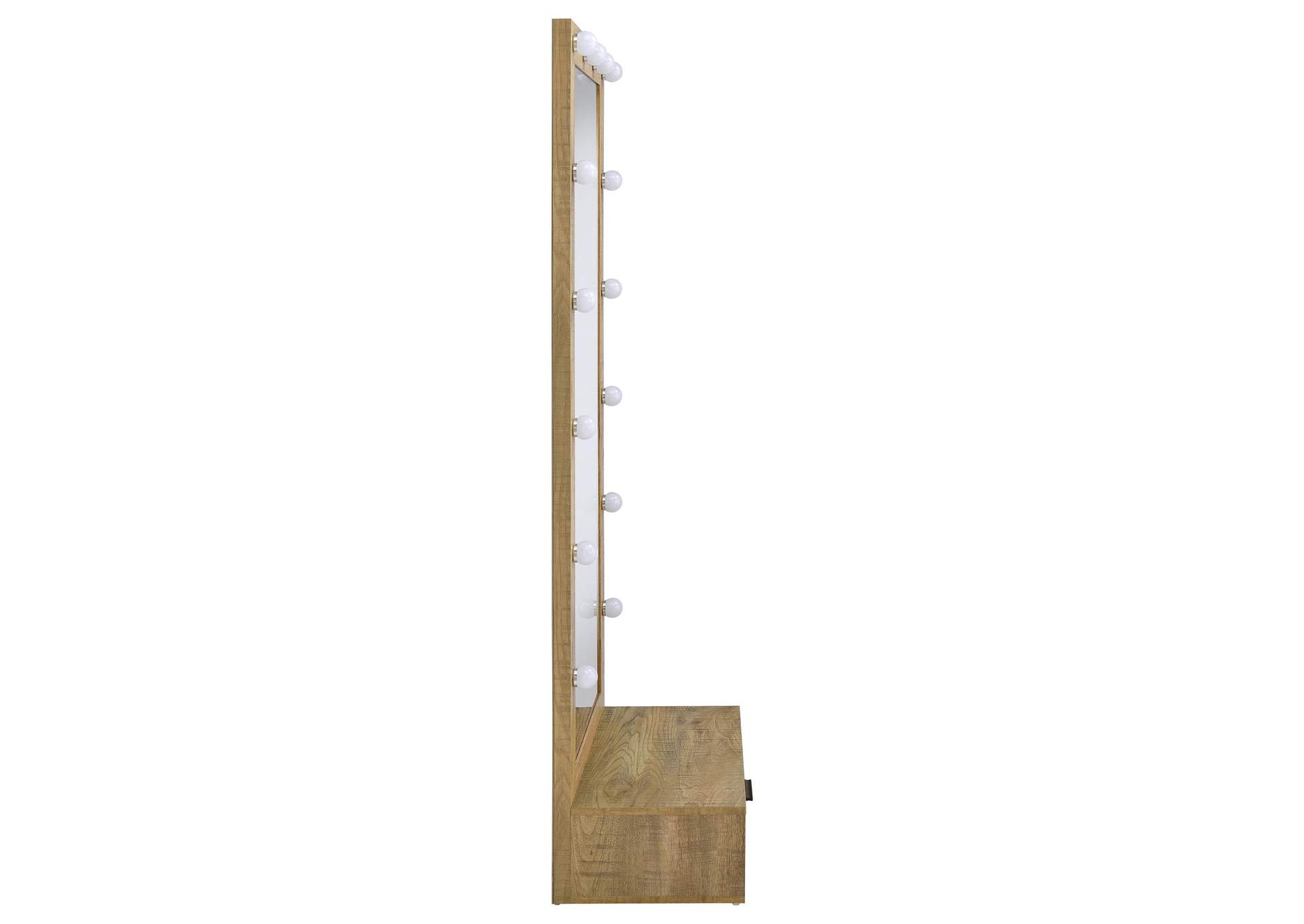 Spector 1-drawer Lighted Full-Length Floor Mirror Mango image 13
