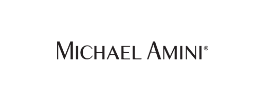 Michael Amini