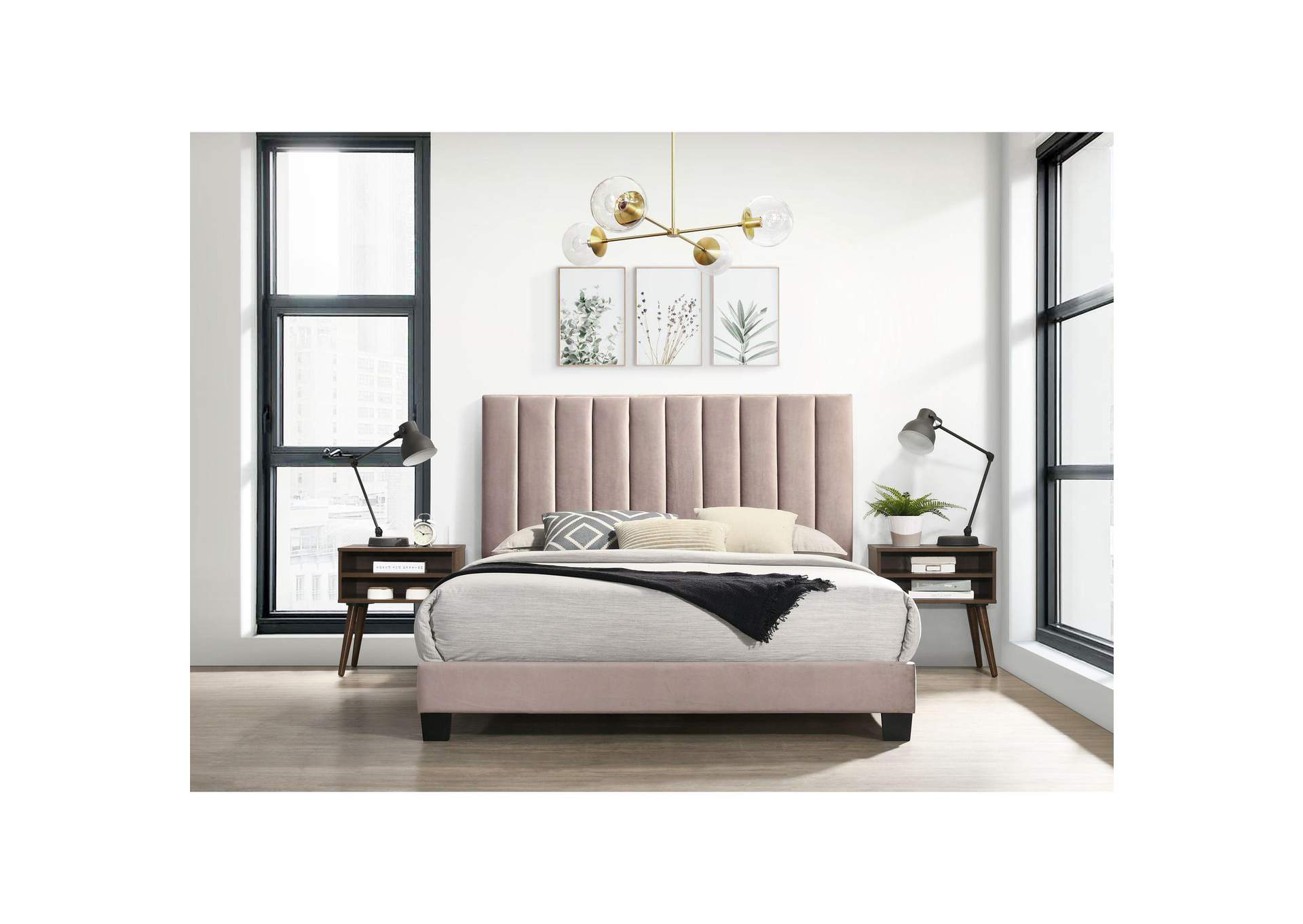 Coyote Queen Bed With Carroll Pink Velvet With Two End Table image 1