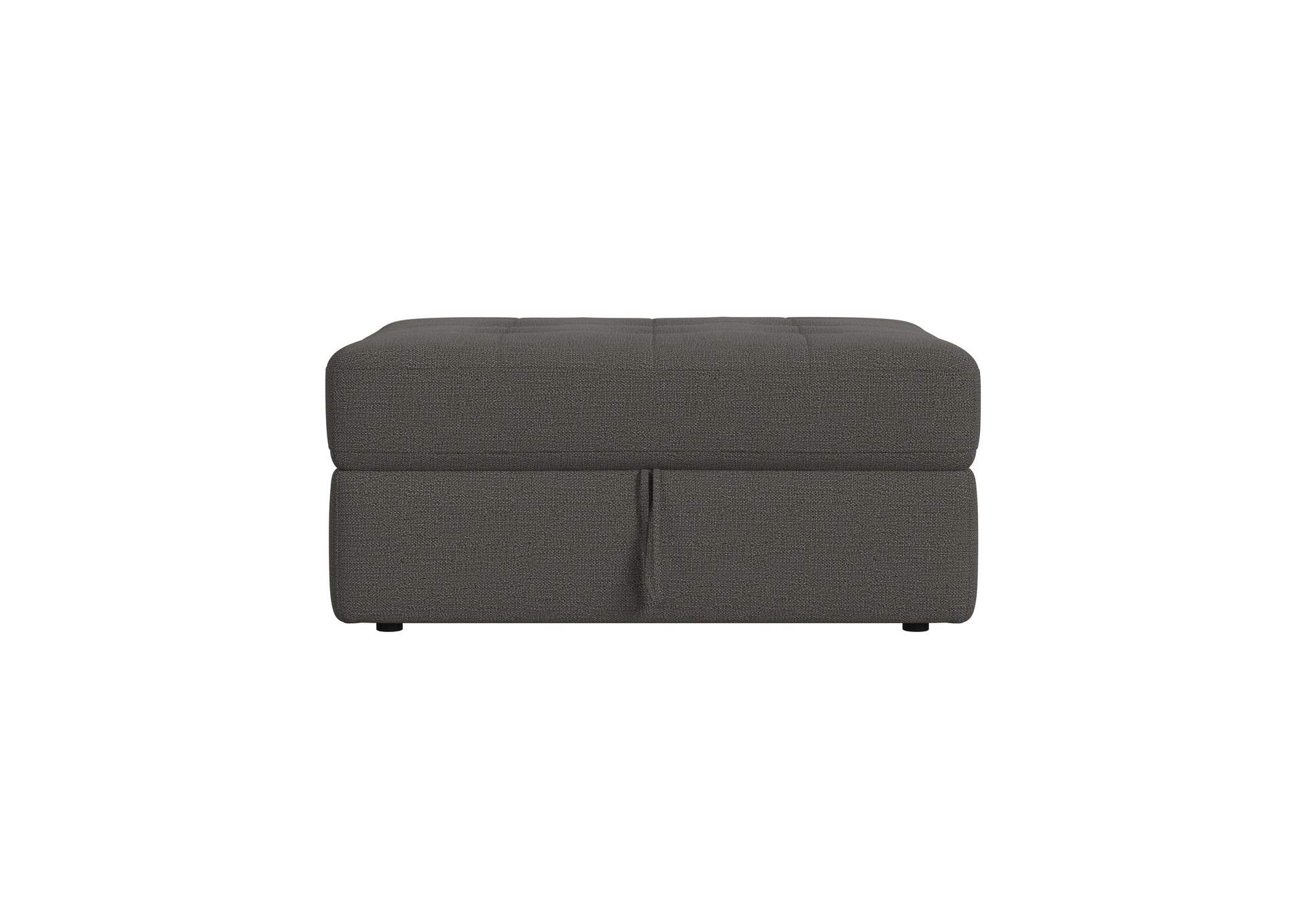 Options One Storage Ottoman In Palmer Plus Ash image 5