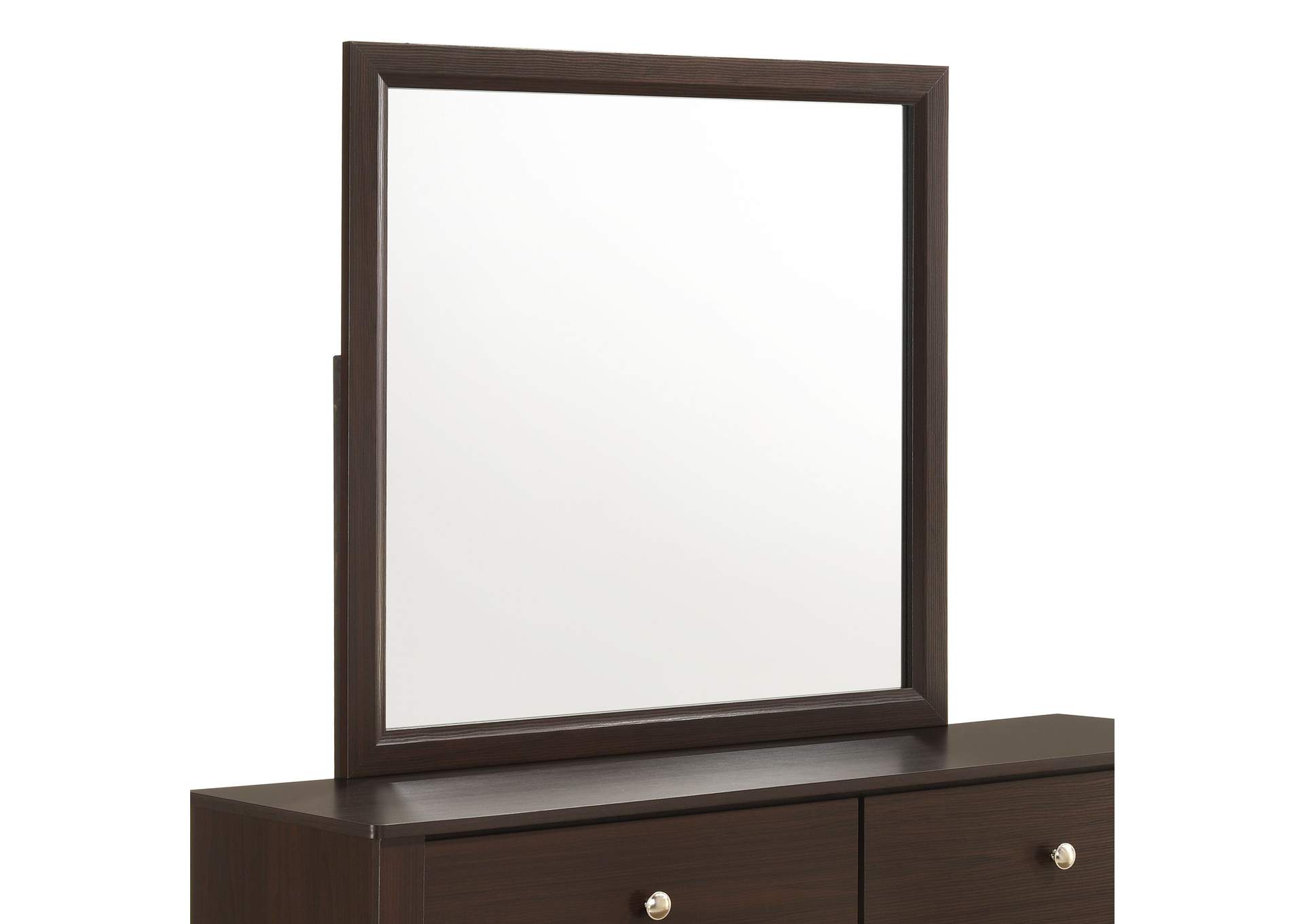 Sami Youth Dresser And Mirror Set In Espresso image 5